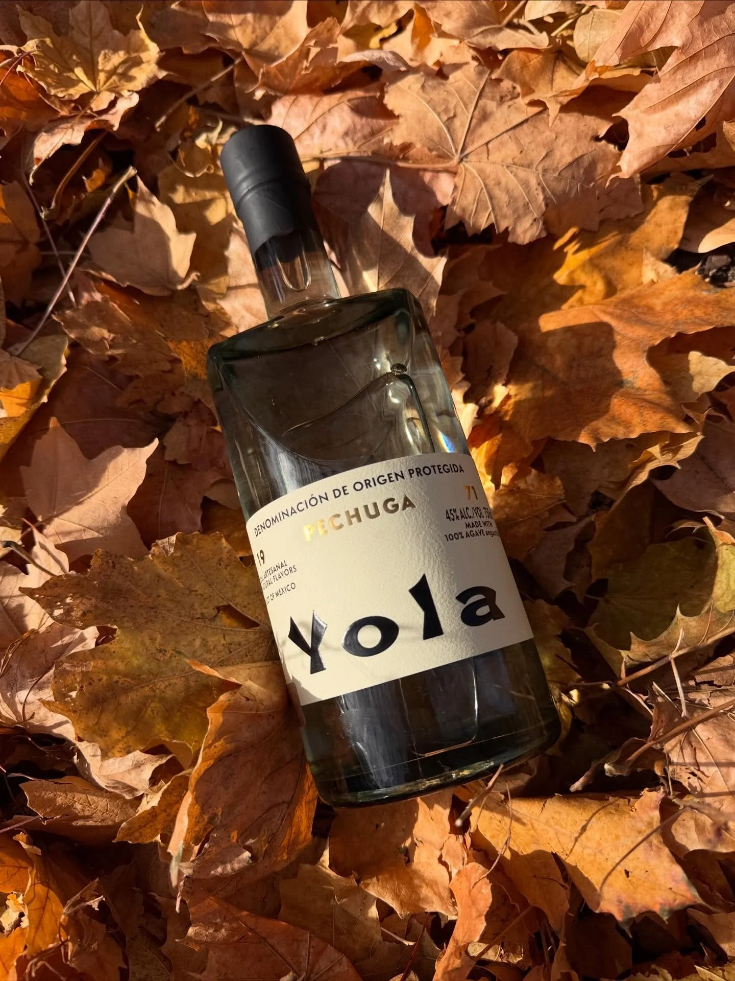 Yola Pechuga is an ultra-premium sipping mezcal the has been refined over decades and expertly crafted with a delicate and rich taste. Traditionally reserved for special occasions, Mezcal de Pechuga is Oaxaca&rsquo;s finest. 

Yola&rsquo;s blend uses