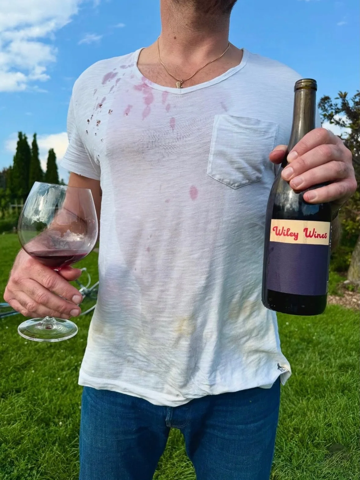 NEW to the New France portfolio! Minnesota native Phineas Fittipaldi began Wiley Wines as a way to create wines he wanted to drink himself from iconic Californian sites. His project is about freedom, curiosity, and chasing what feels right. Every bot