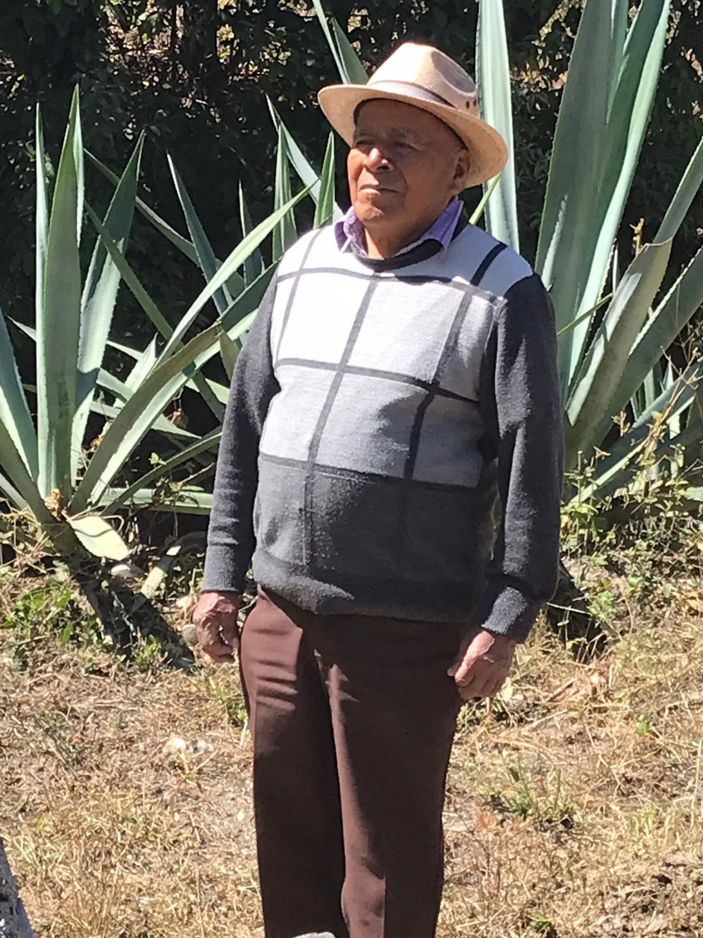 Del Que Toma el Cardenal is a cooperative agave-spirits project born in 2014 in response to the industrialization of mezcal, with more and more being produced using less-traditional methods. Major brands are buying up the agave farms that had service