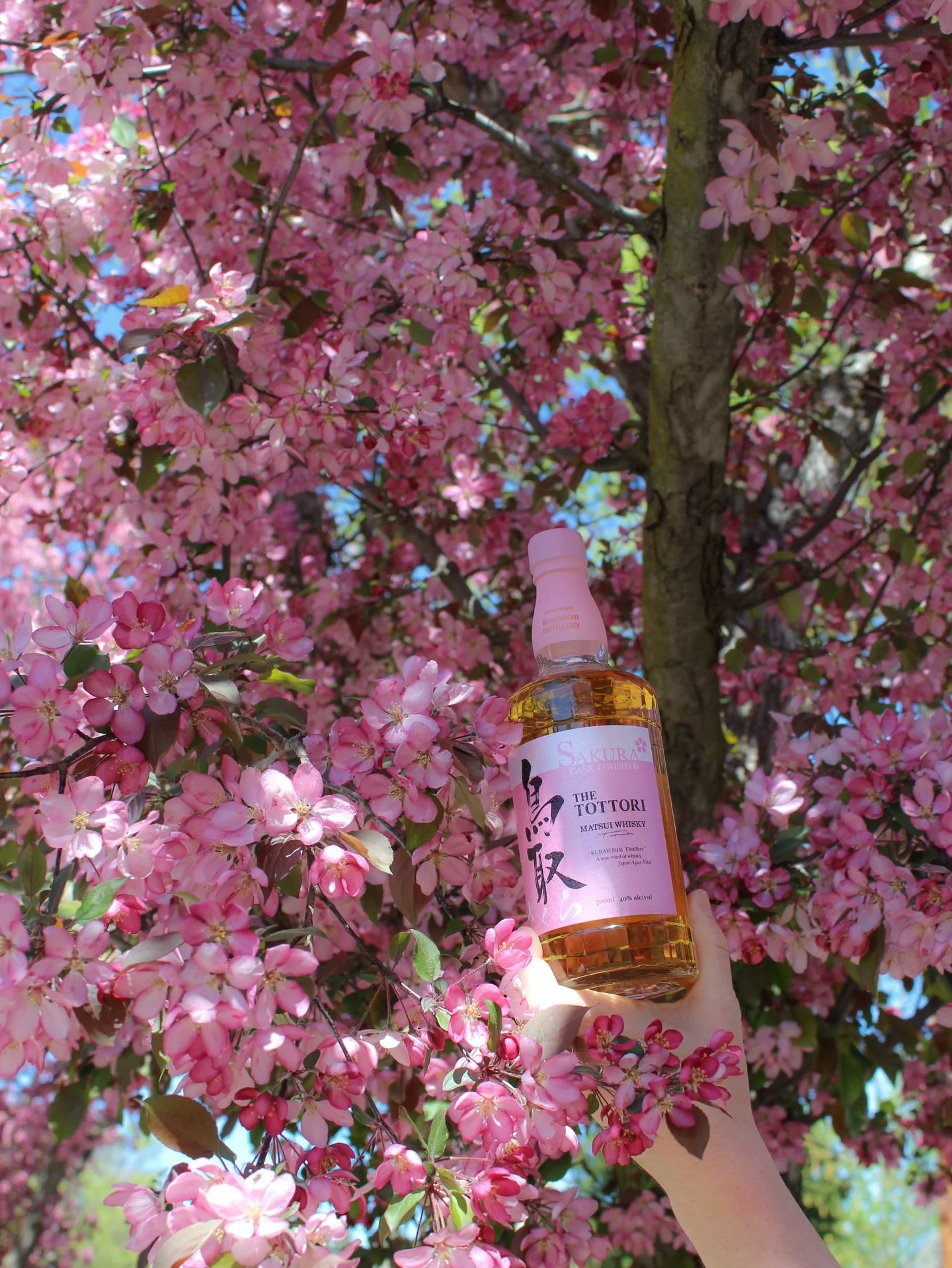 Founded in 1910, Matsui Distillery is located in Tottori Prefecture, northwest of Kyoto, on the shore of the Sea of Japan. Tottori is the least populous prefecture in Japan, with over 14% comprising a natural park packed with lush vegetation, rugged 
