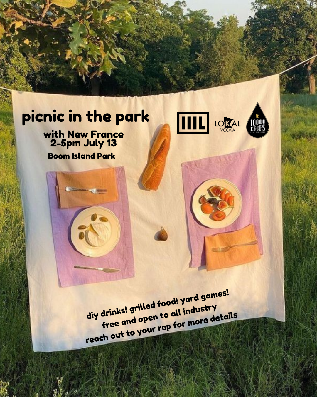 picnic in the park (1).png