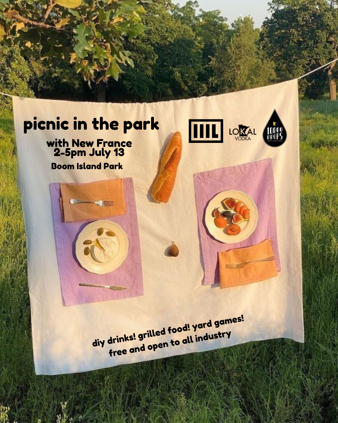 picnic in the park.png