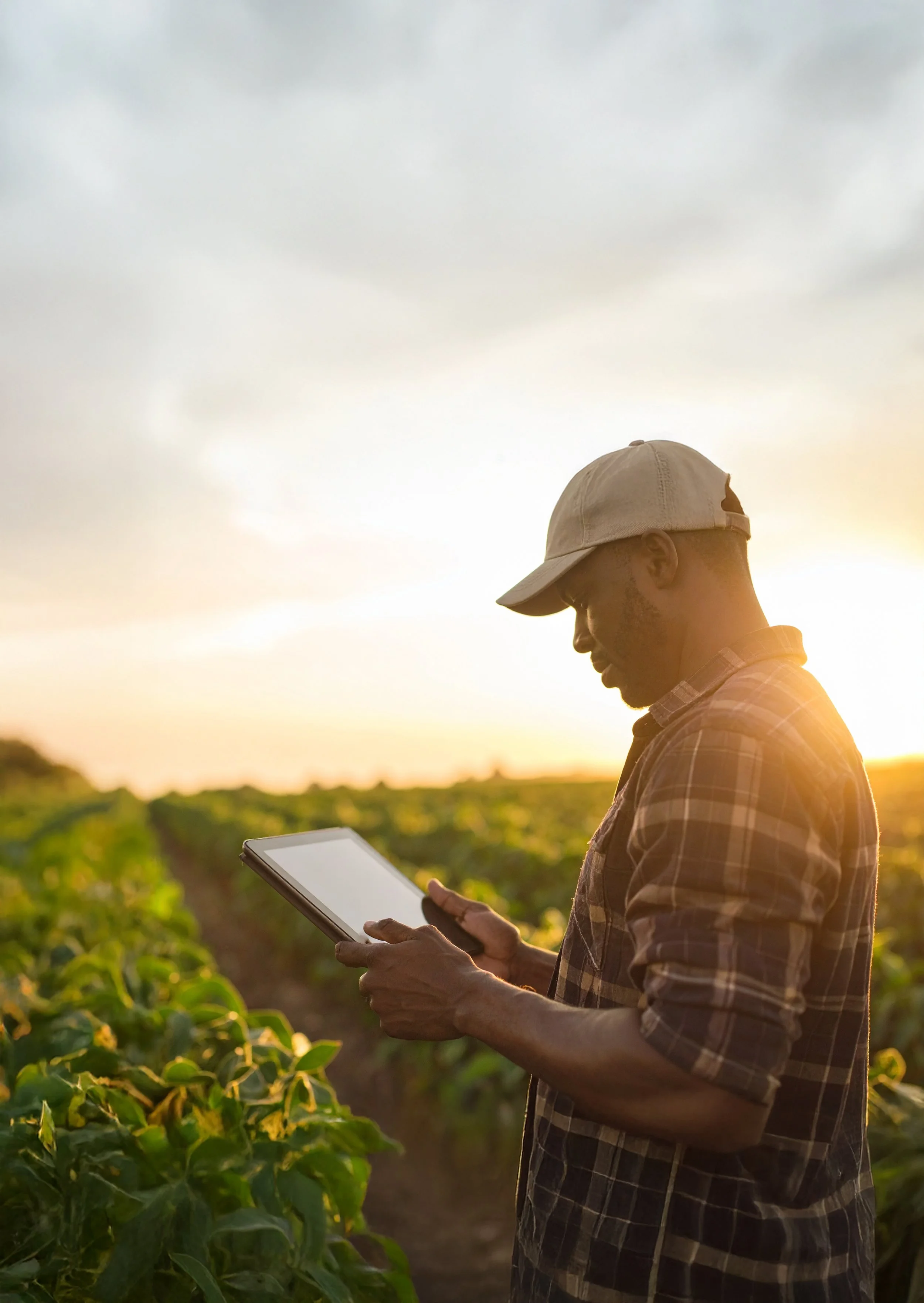 Weed Management Systems Contest_innovative farming
