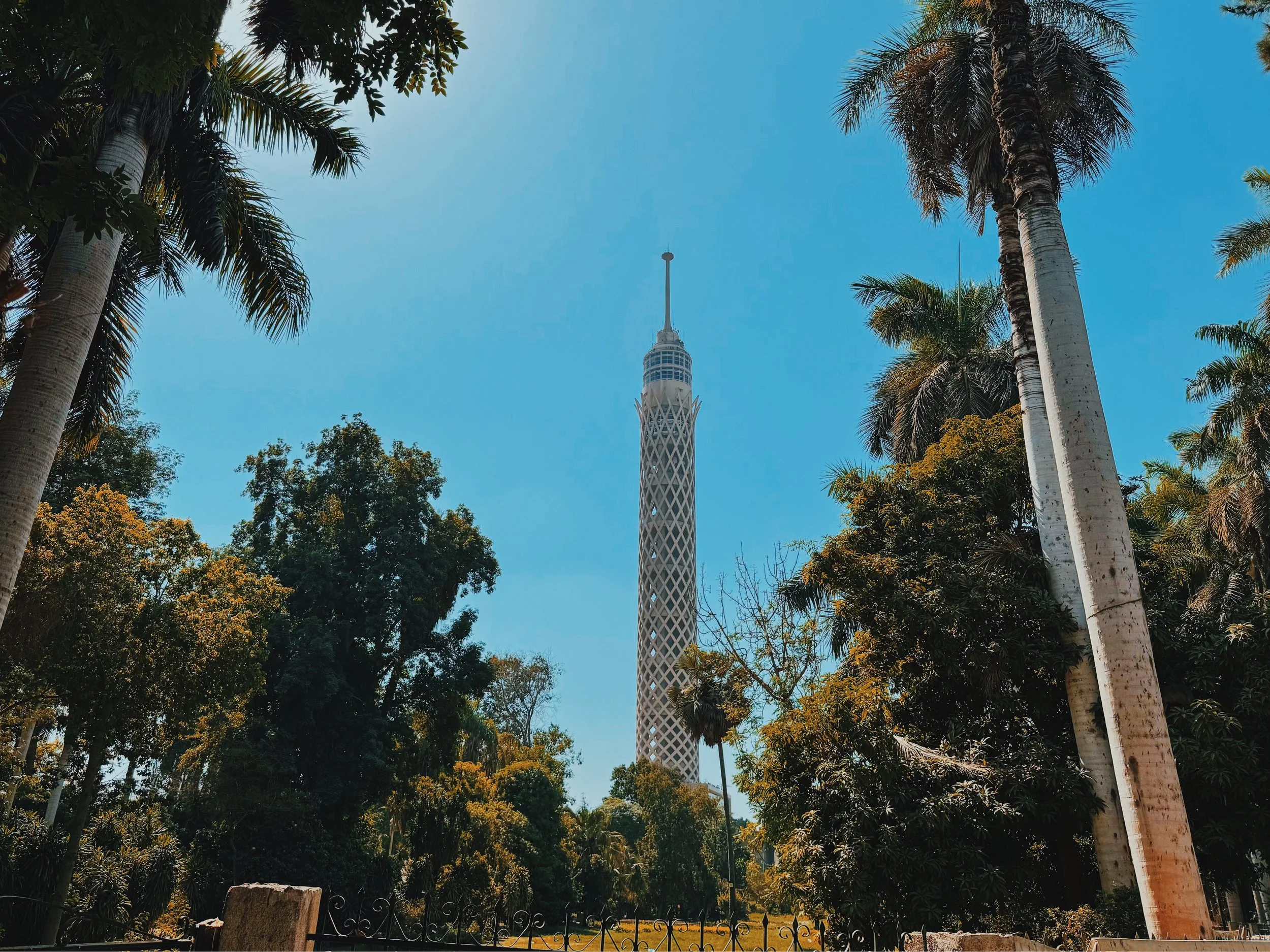The Cairo Tower rising above palms and leafy gardens on Zamalek island in Cairo.