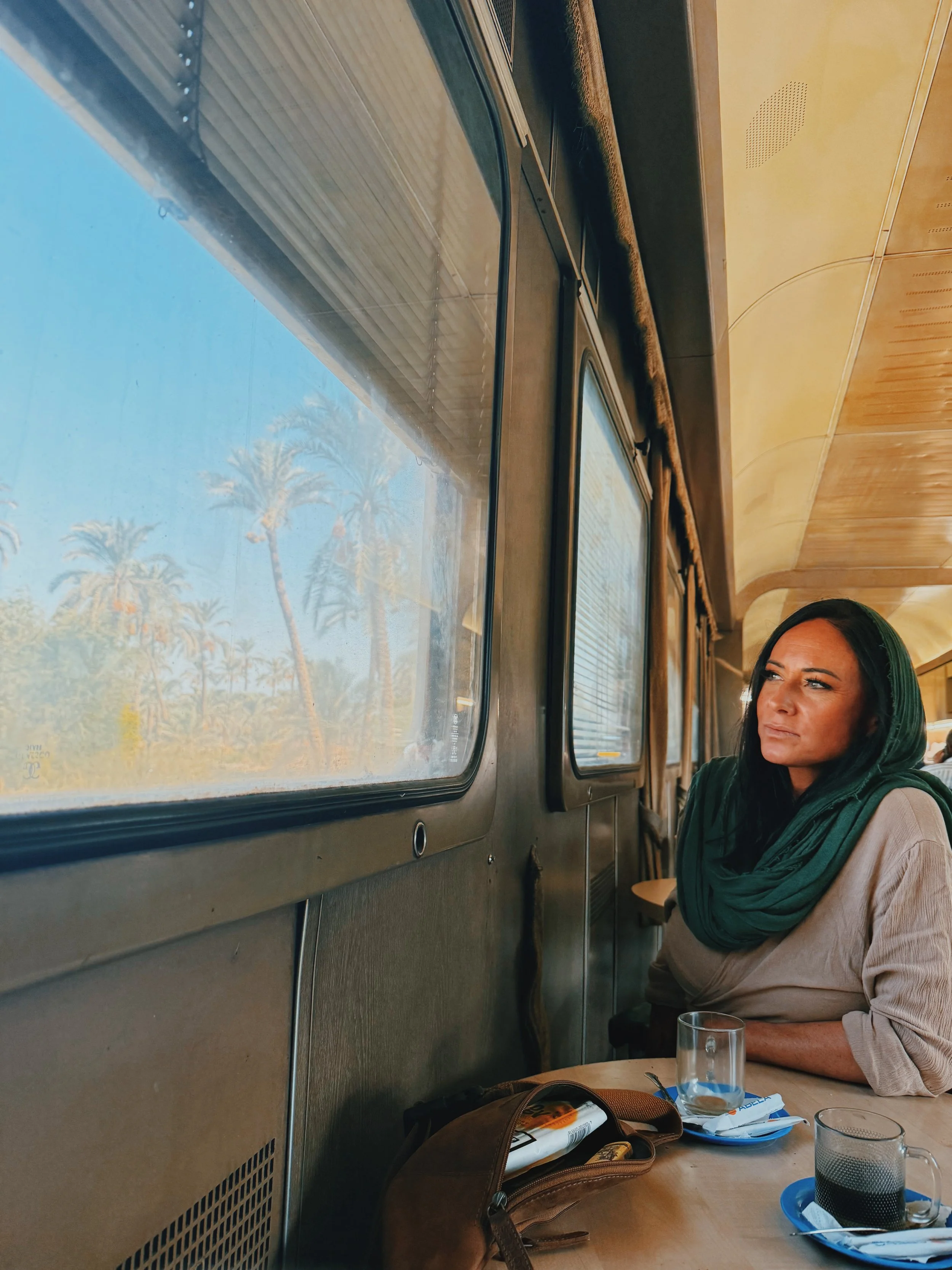 Jennifer gazing out at the palm groves of the Nile Valley from the window of the train between Luxor and Cairo.