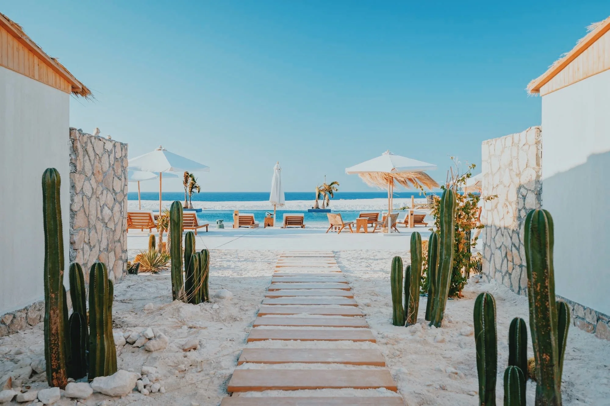 A wooden boardwalk lined with cacti leading to white umbrellas, sun loungers and the Mediterranean at Marmarica in Ras El Hekma.