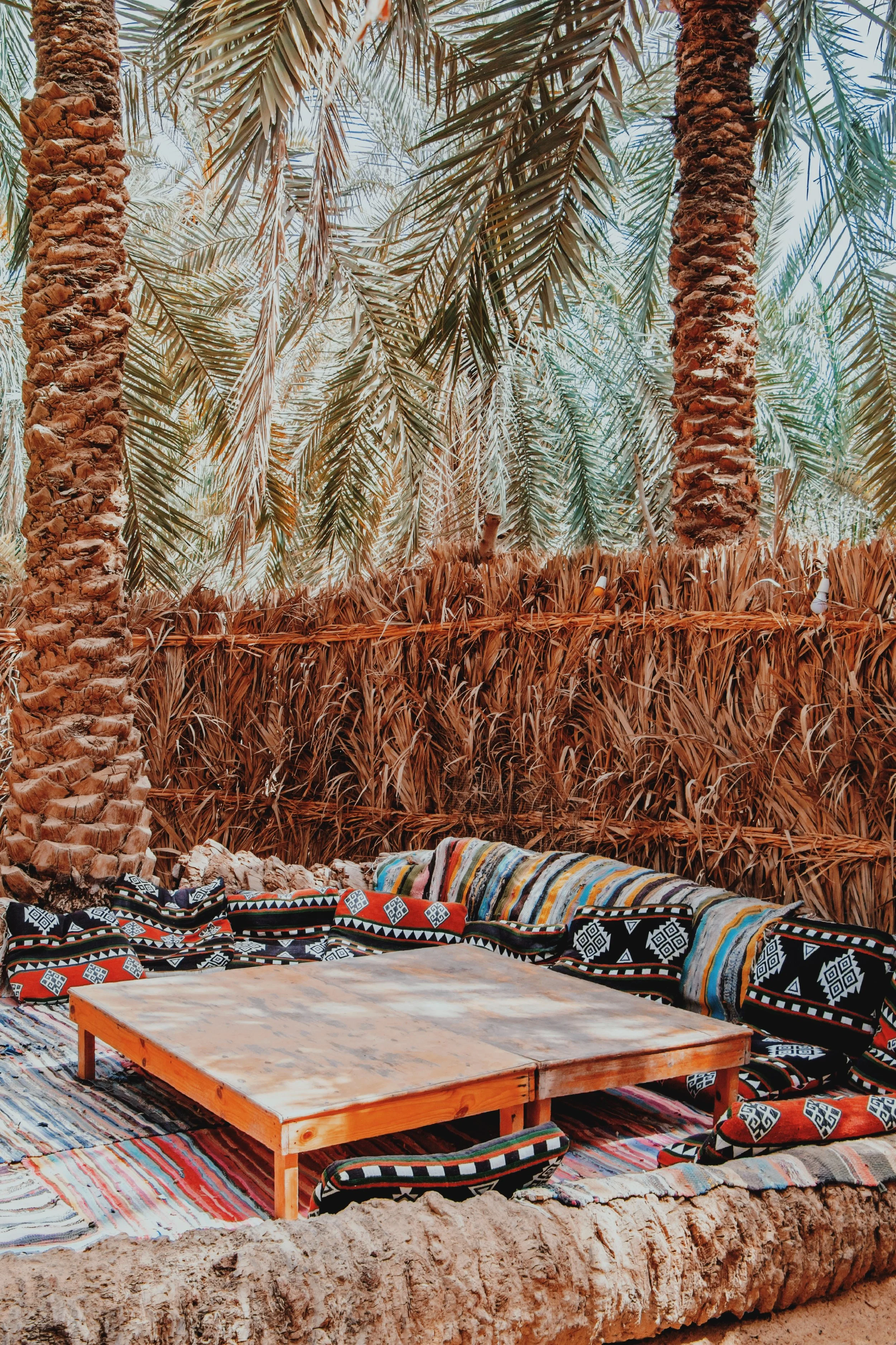 Colorful cushions and a low wooden table set beneath date palms in a shady garden in Siwa Oasis.