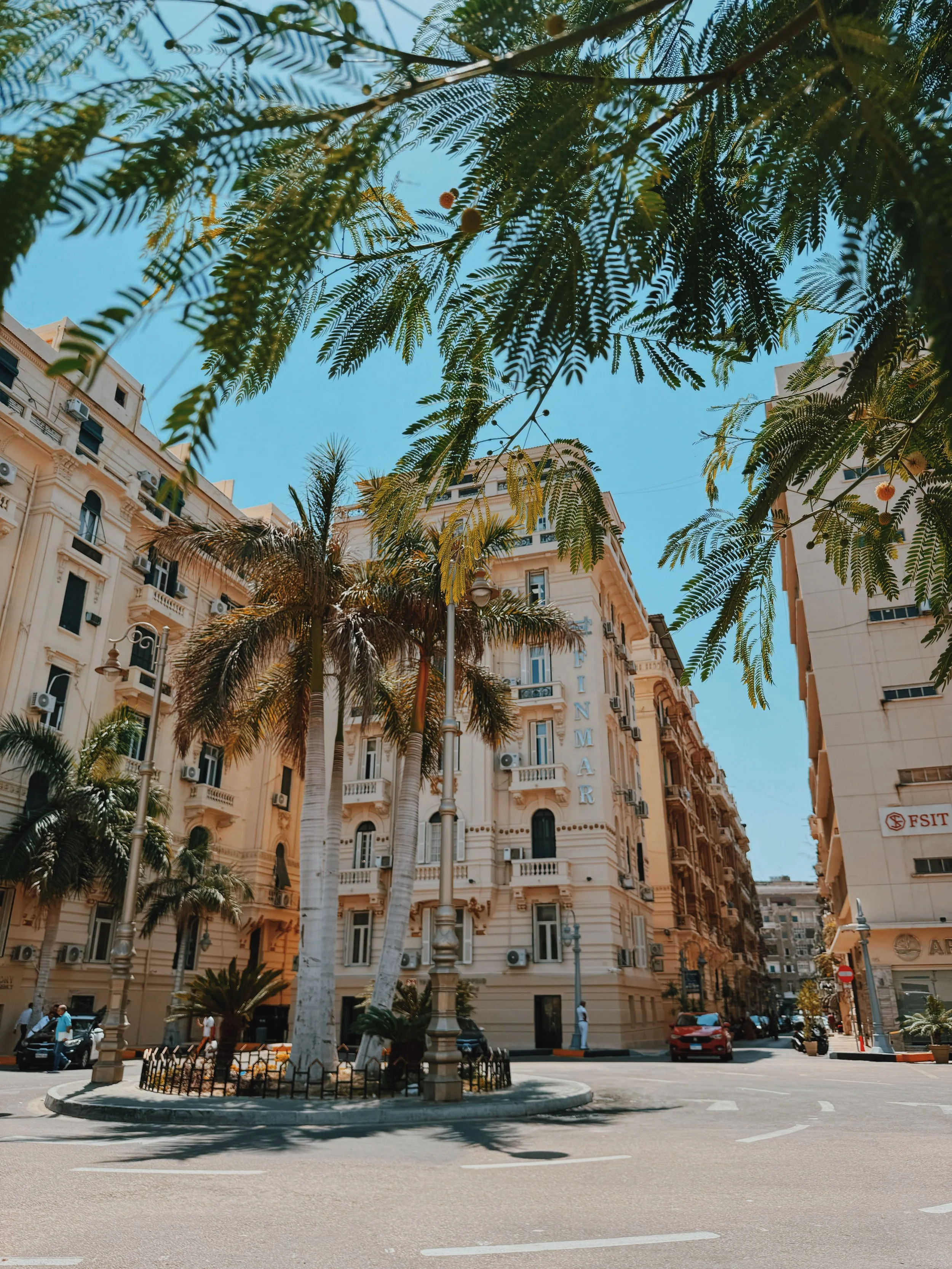 Cream Belle Époque buildings and palm trees around a quiet square in downtown Alexandria.