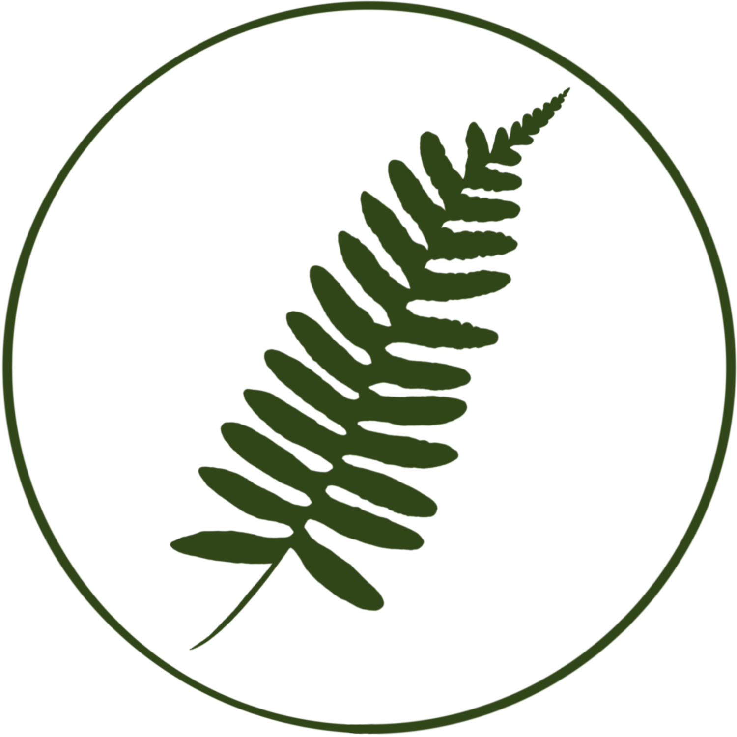 Les Fougères d’Écoute s’il pleut