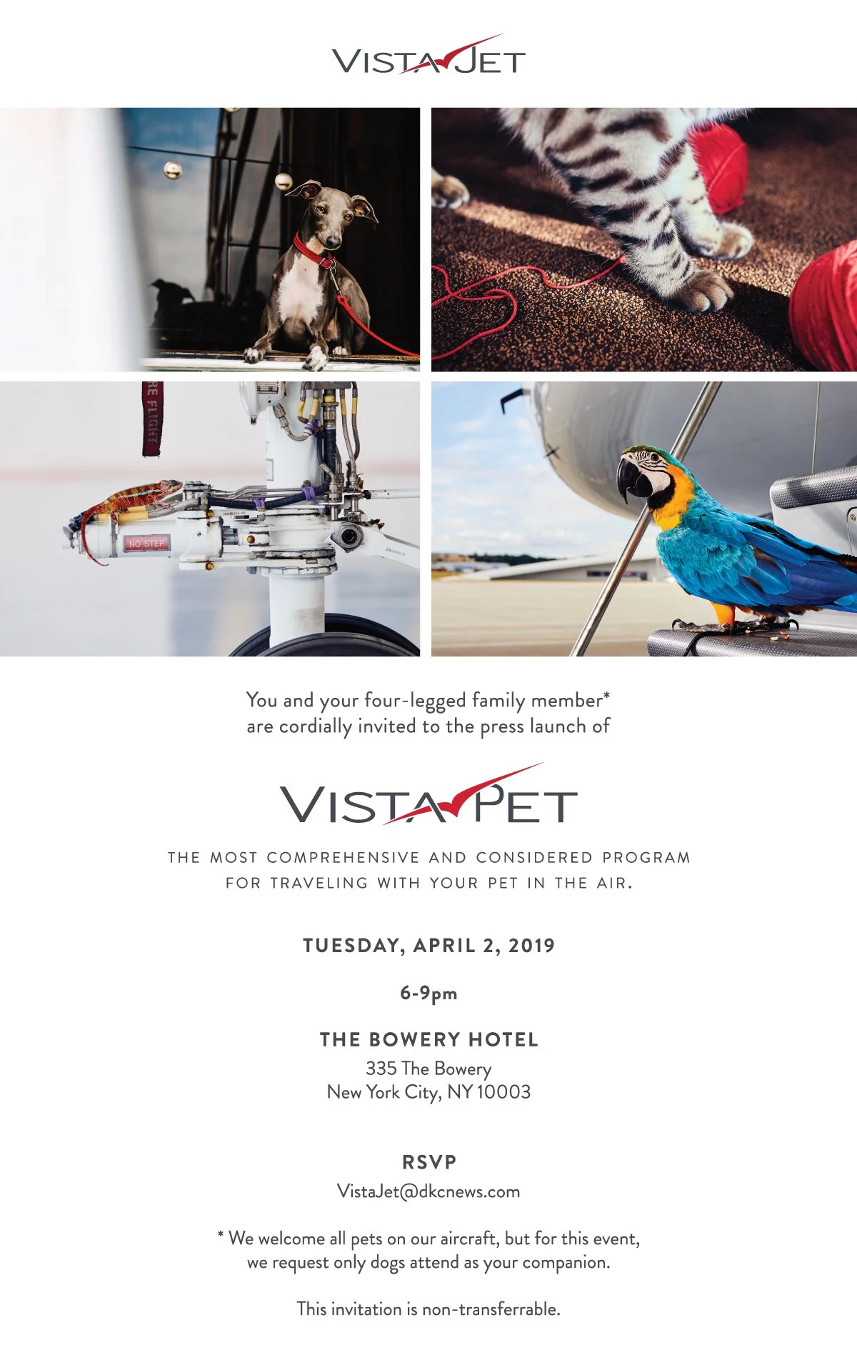 Invite_Pet_Launch_2019.jpg