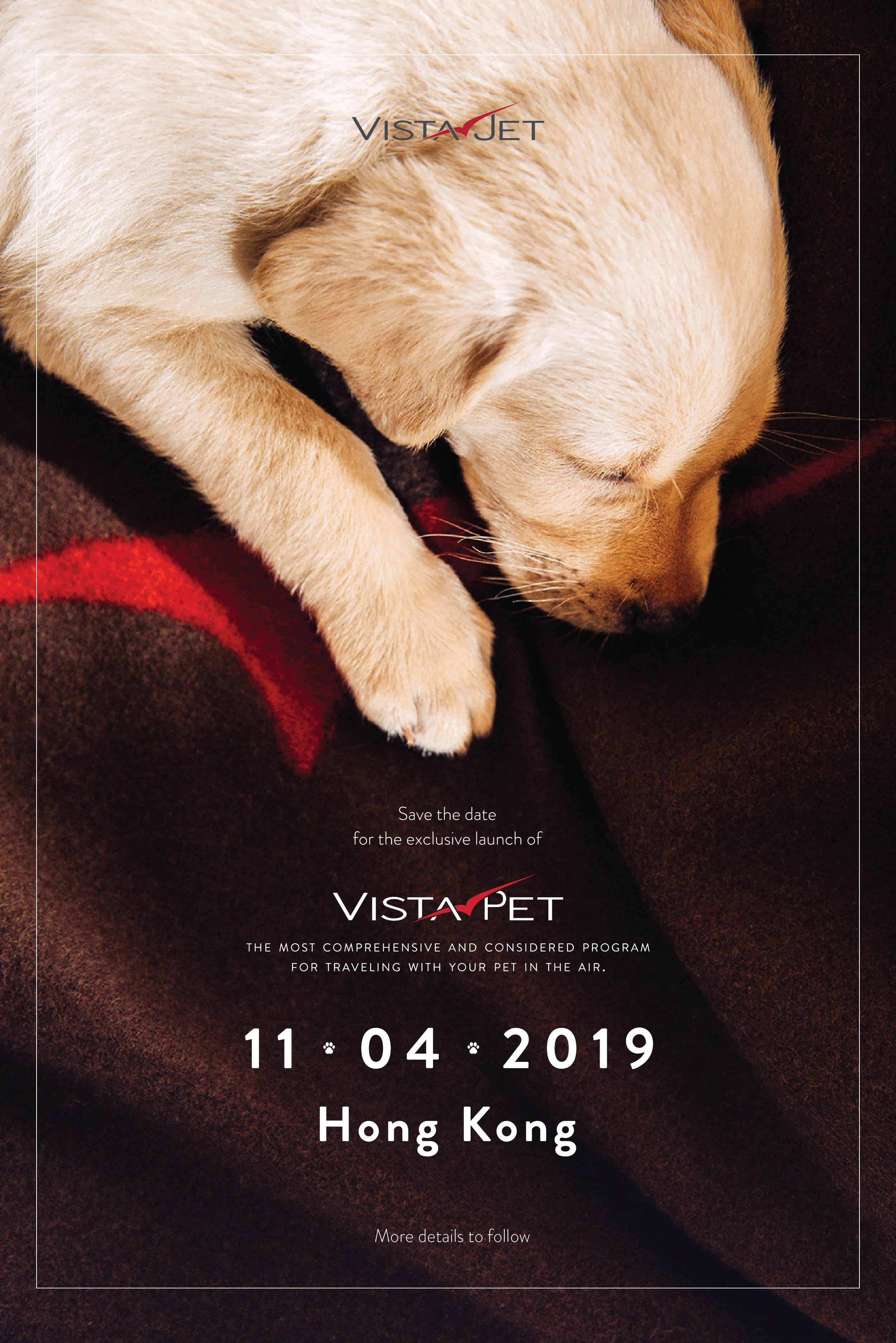 STD_Pet_Launch_2019_HK-01.jpg