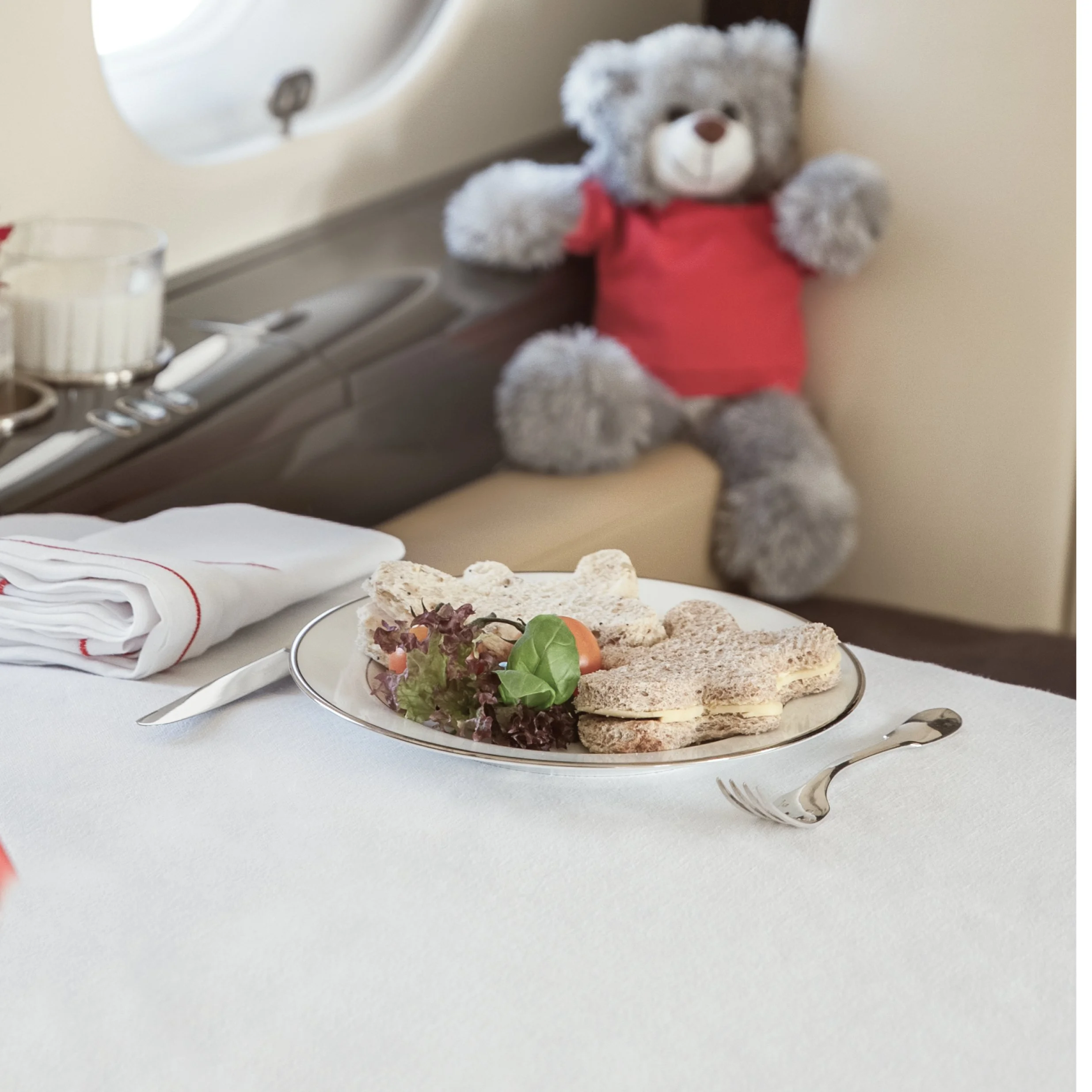 Adventures in the Sky Brochure_Print20.jpg