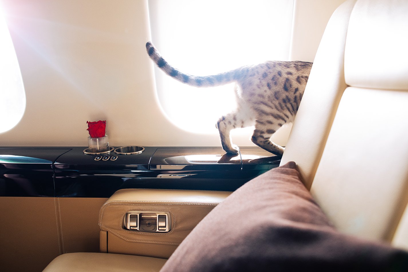 180813_VistaJet_Minnie_Interior_0016-Edit_72dpi.jpg