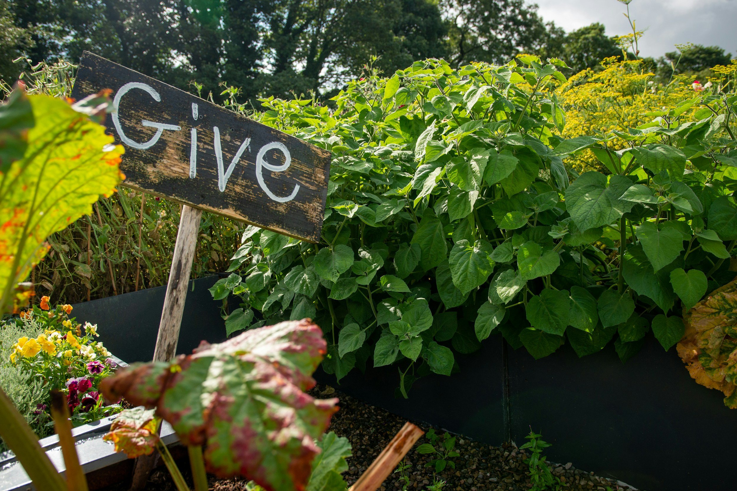 Why You Should Focus on Improving Gardens And Ground Maintenance