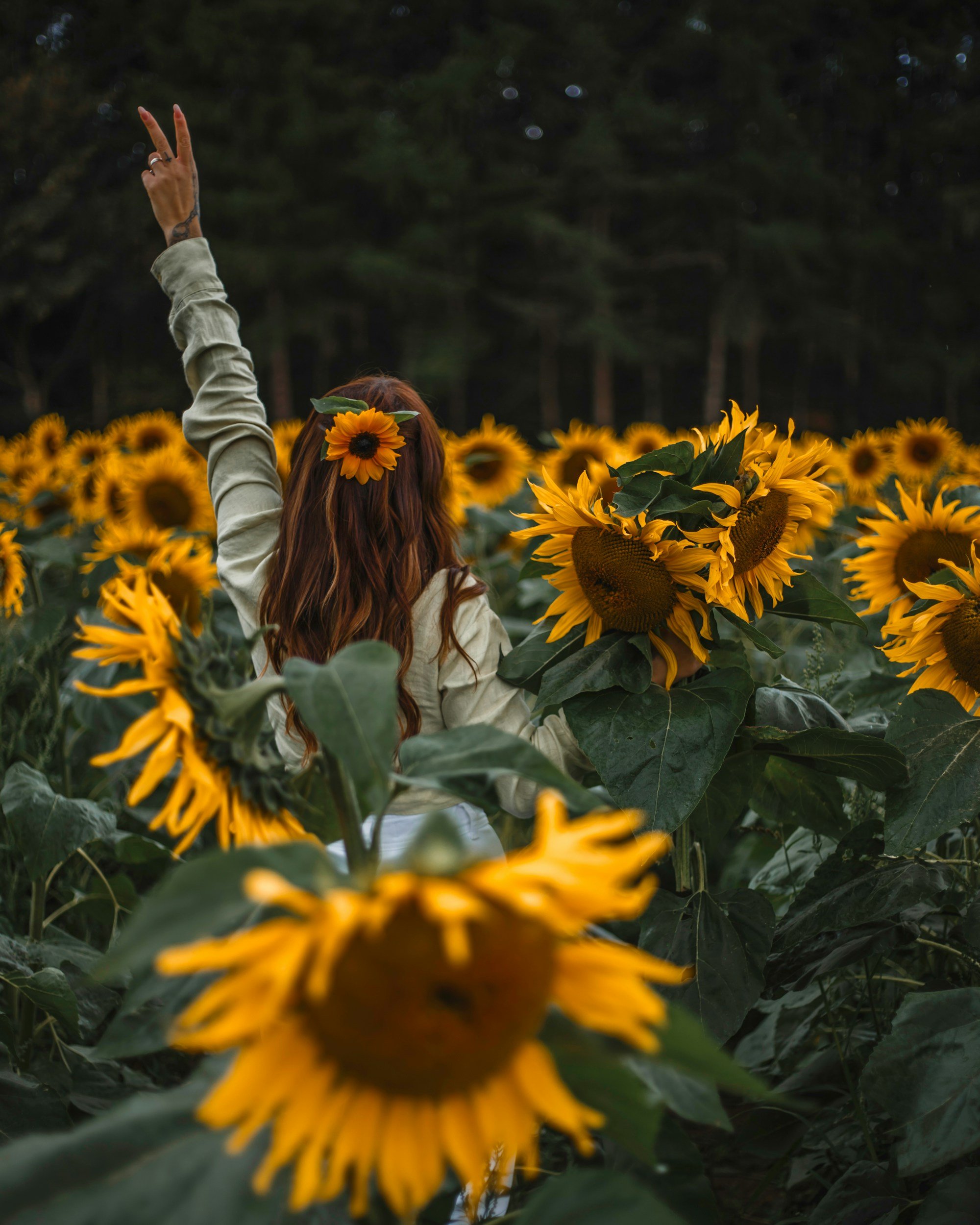 Getting Your Garden Ready for  Summer:It’s Not as Difficult as You Think 