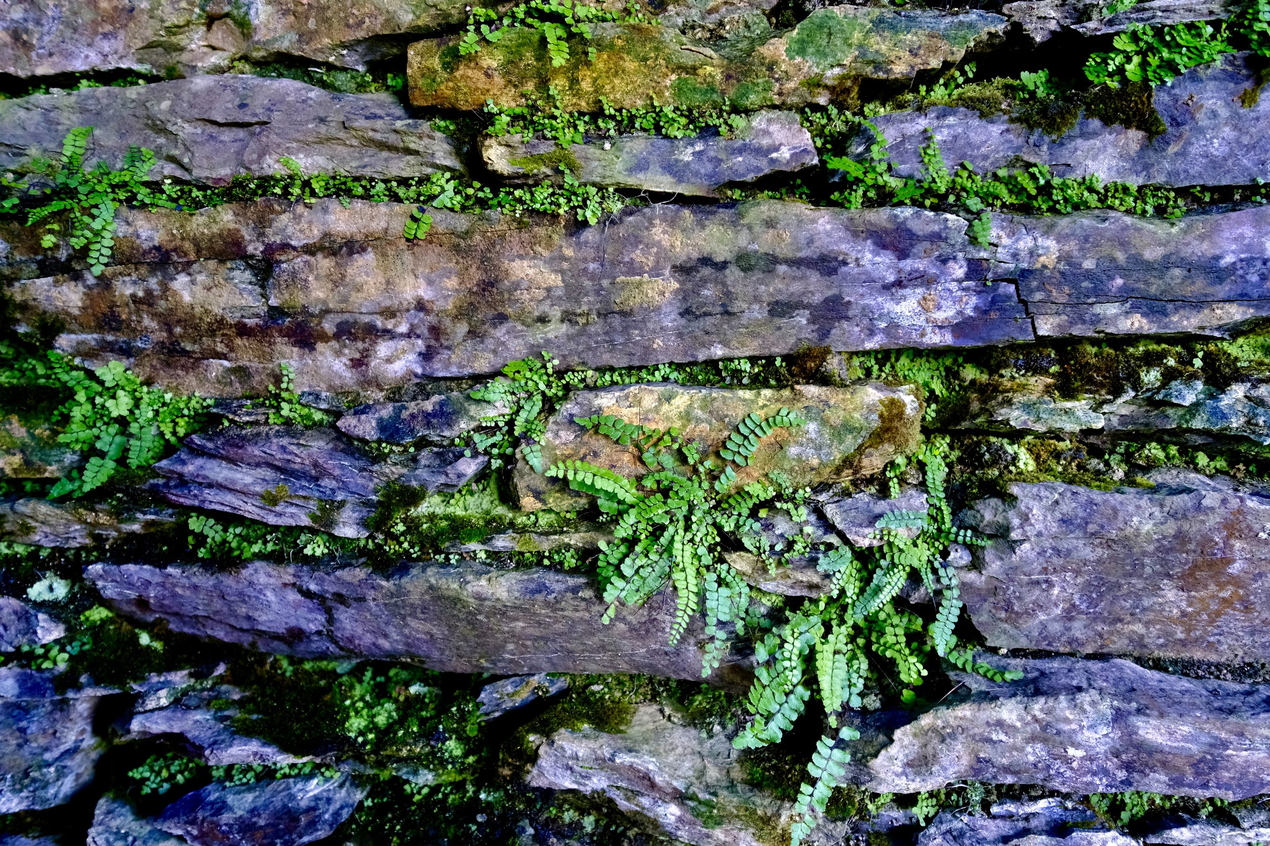 We Live - Image 1 from the Not Set In Stone Collection photography by Deborah Hodgetts