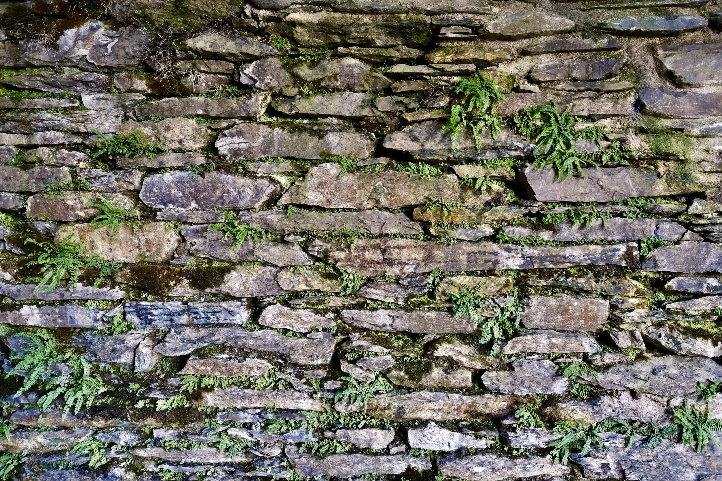 Not Set In Stone Collection Image 2 photography by Deborah Hodgetts