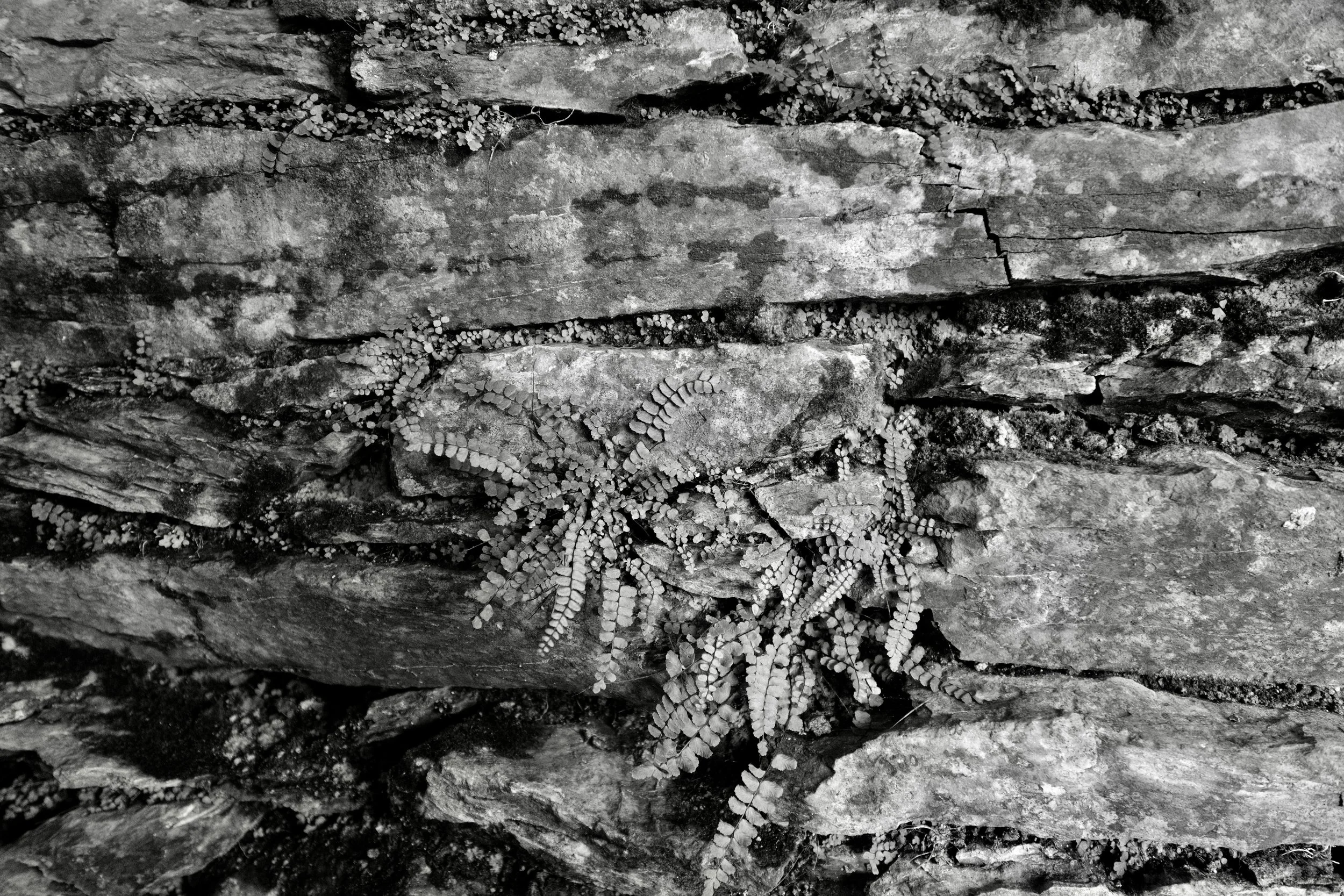 Everything changes - Not Set In Stone Collection photography by Deborah Hodgetts