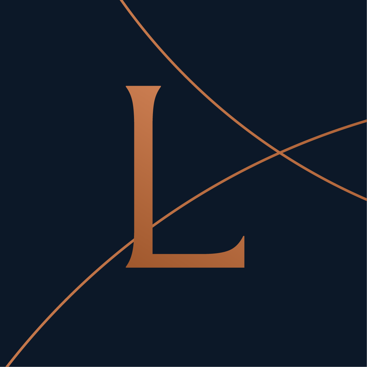 The Role of a Fractional CFO during an Exit