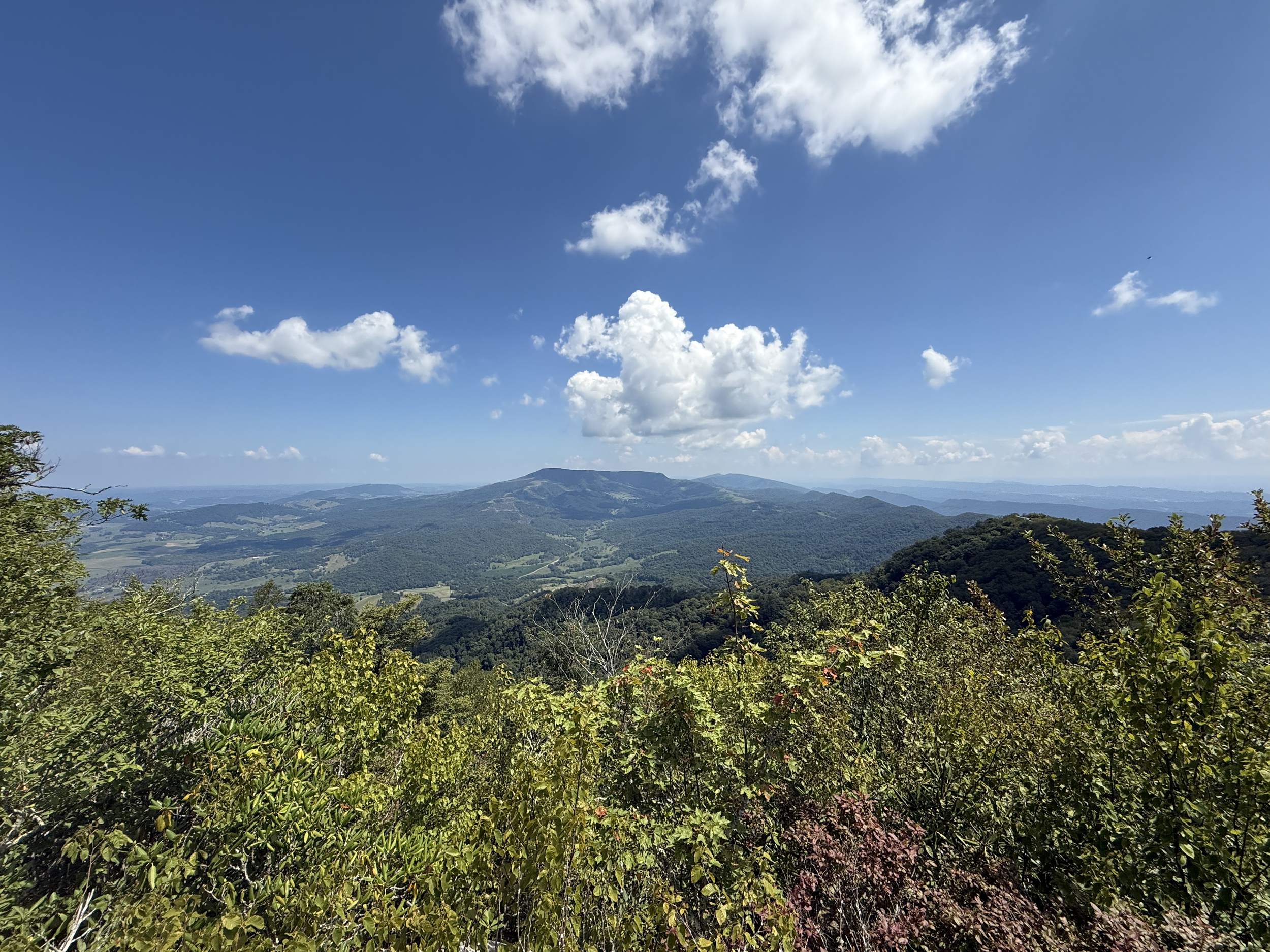 IMG_2960 (1).png