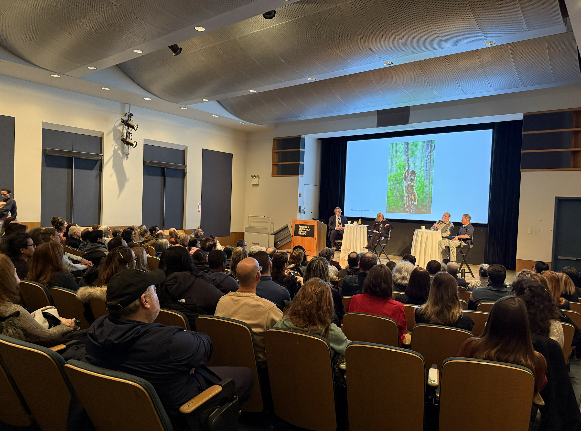 Special Program: A Conspiracy of Lemurs: I coordinated all aspects of this one-off lecture—from theater and AV set-up to supporting panelists with travel and presentation needs. Programs like this showcase the Museum’s global reach and allow me to co