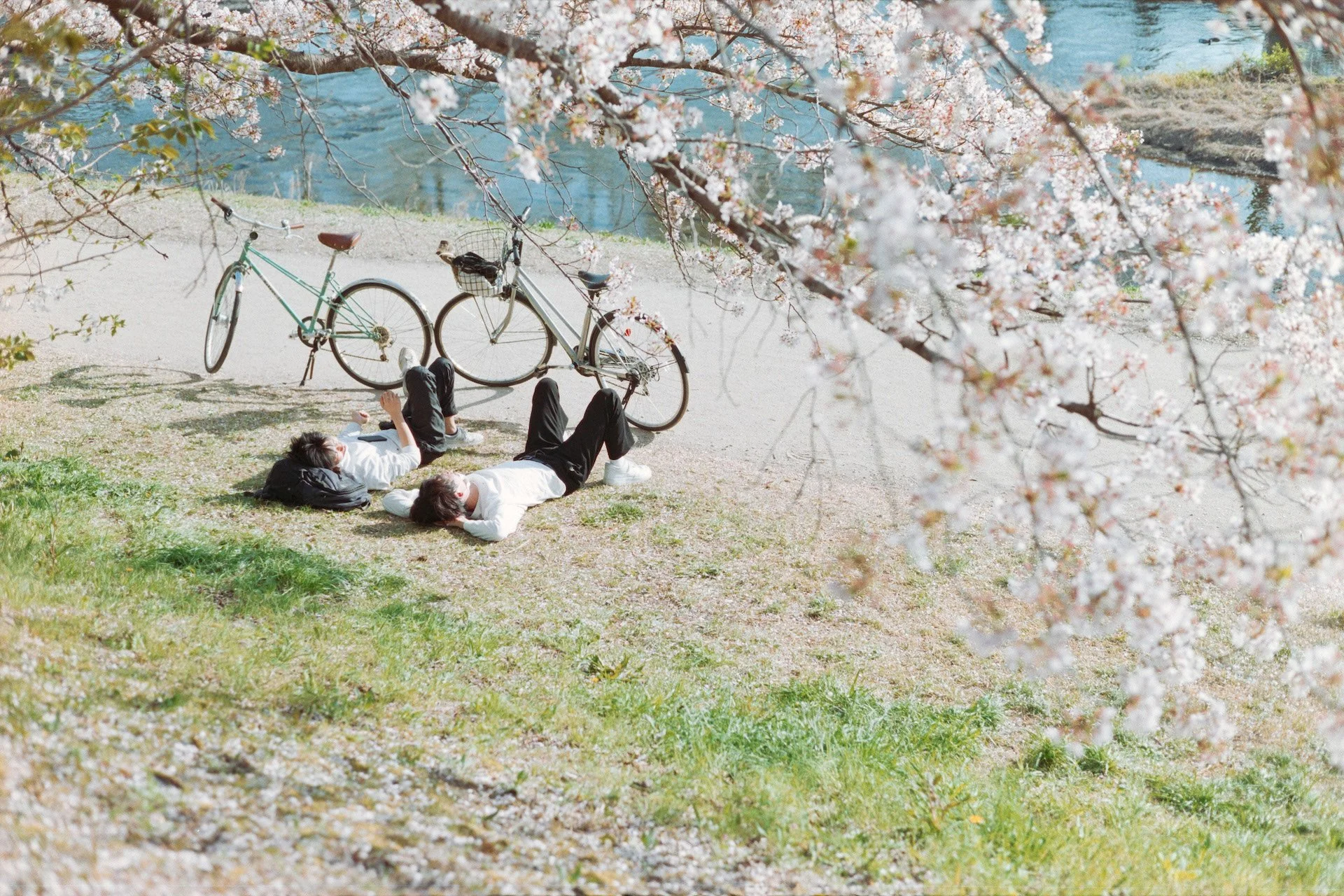 Kyoto, Japan