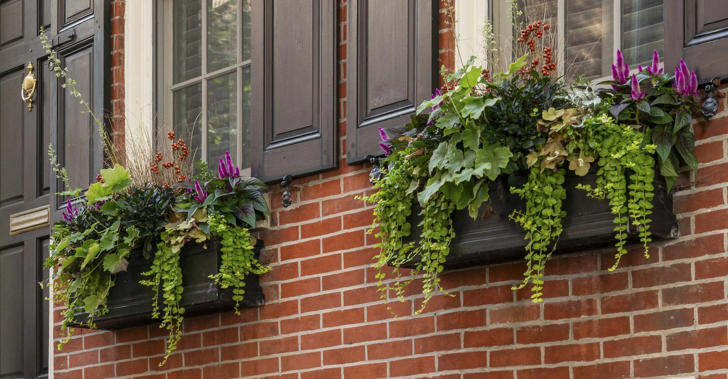 ToriSikkemaPhotography_Flornamentum_-3655 copy.jpeg