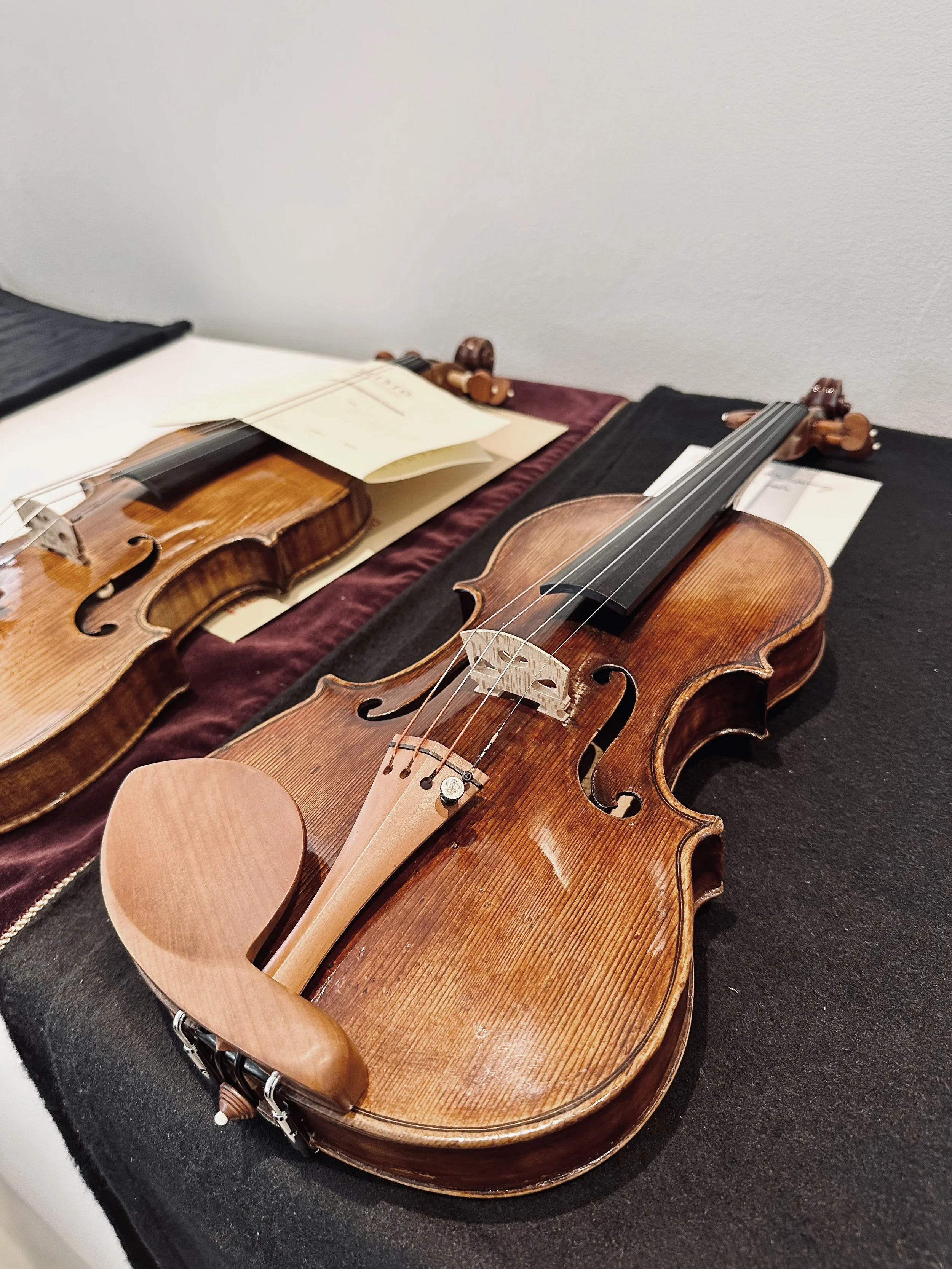 Antique violin resting on dark felt, ready for viewing at Tarisio’s London auction gallery