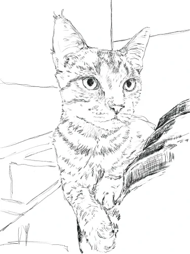 Pet Print - Whittaker