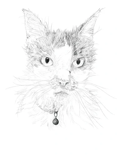 Pet Print - Alex