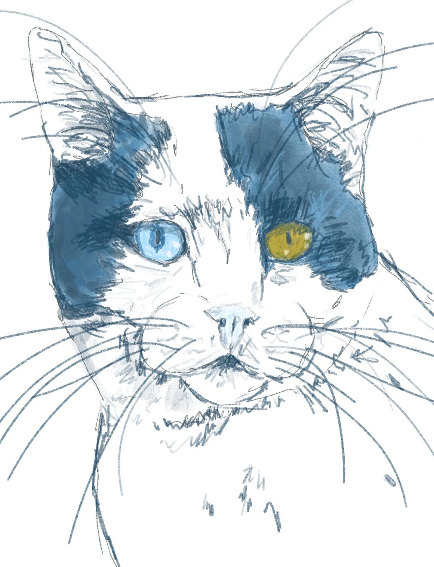 Madoc