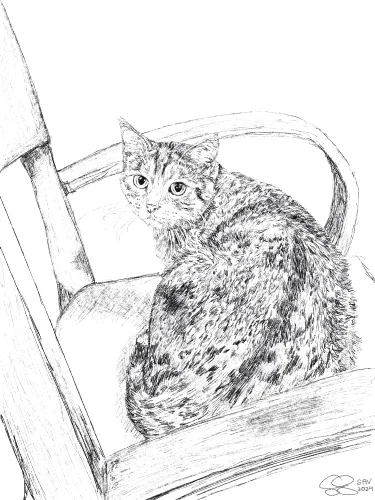 Pet Print - Jenny