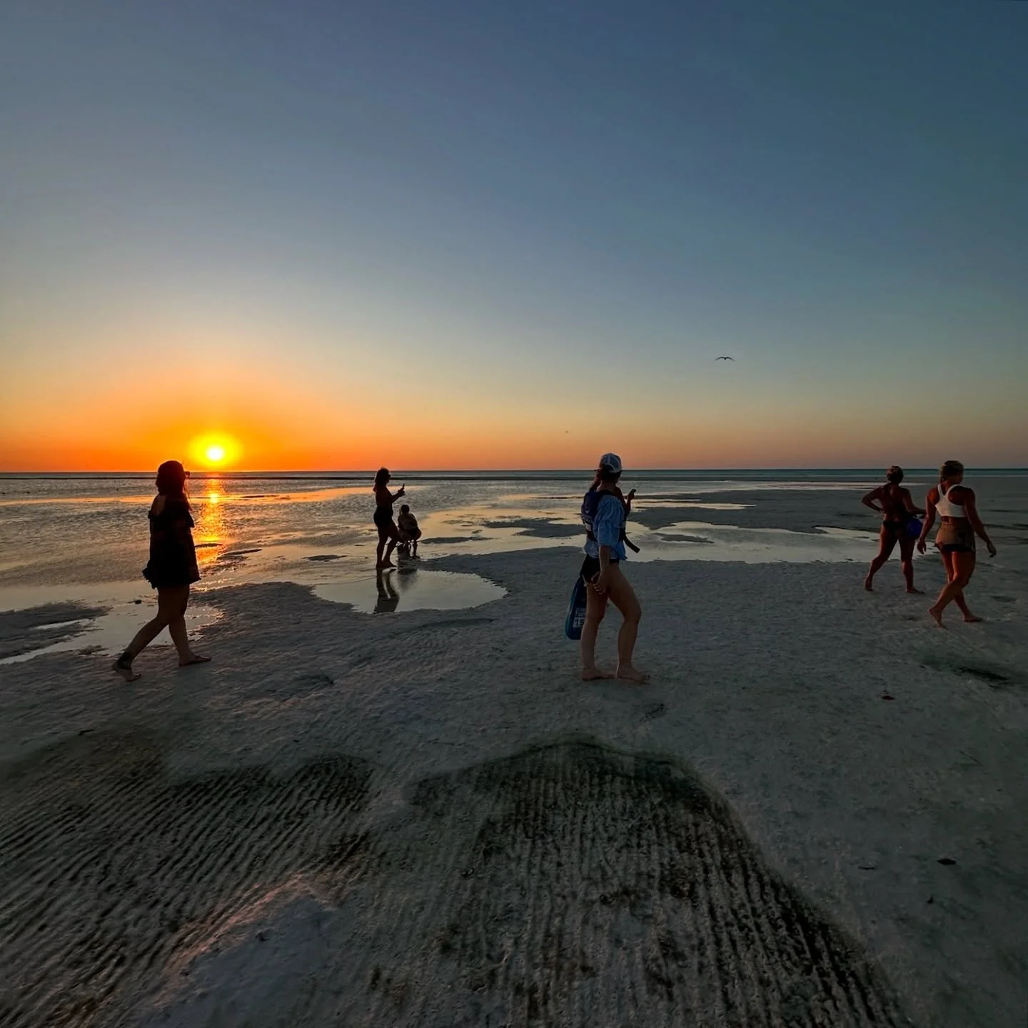 Kayaking out to a natural reserve to watch the sunset and full moon rise from a sand bank. Epic moment of group mediation 🌝 Isla Holbox, Mexico