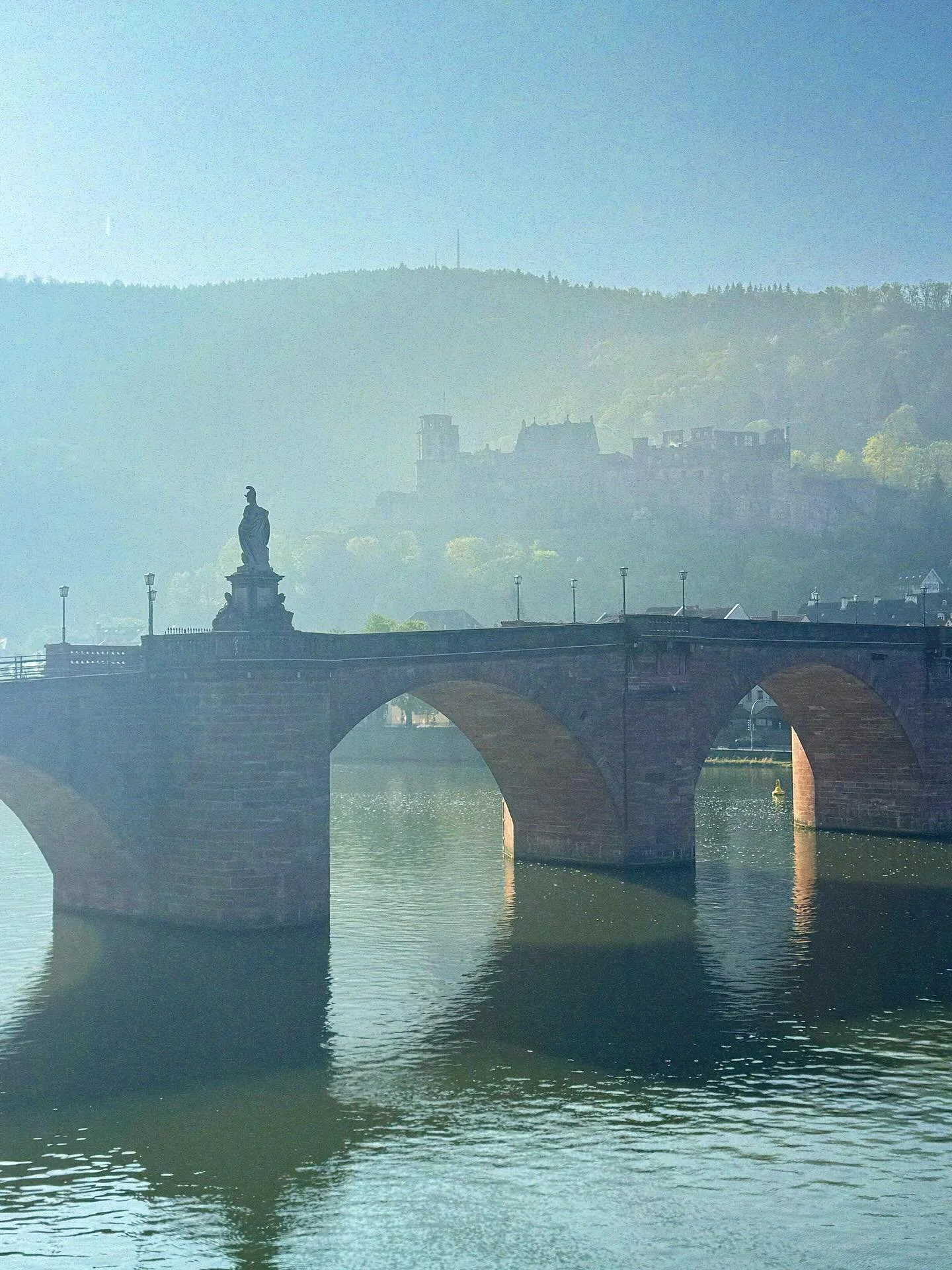 MORE pictures from Heidelberg because this was the most spectacular view in the morning 🏰🌷🌞

#operasingersofinstagram #heidelberg #deutschland #germany #travel #germanytourism #mezzosoprano