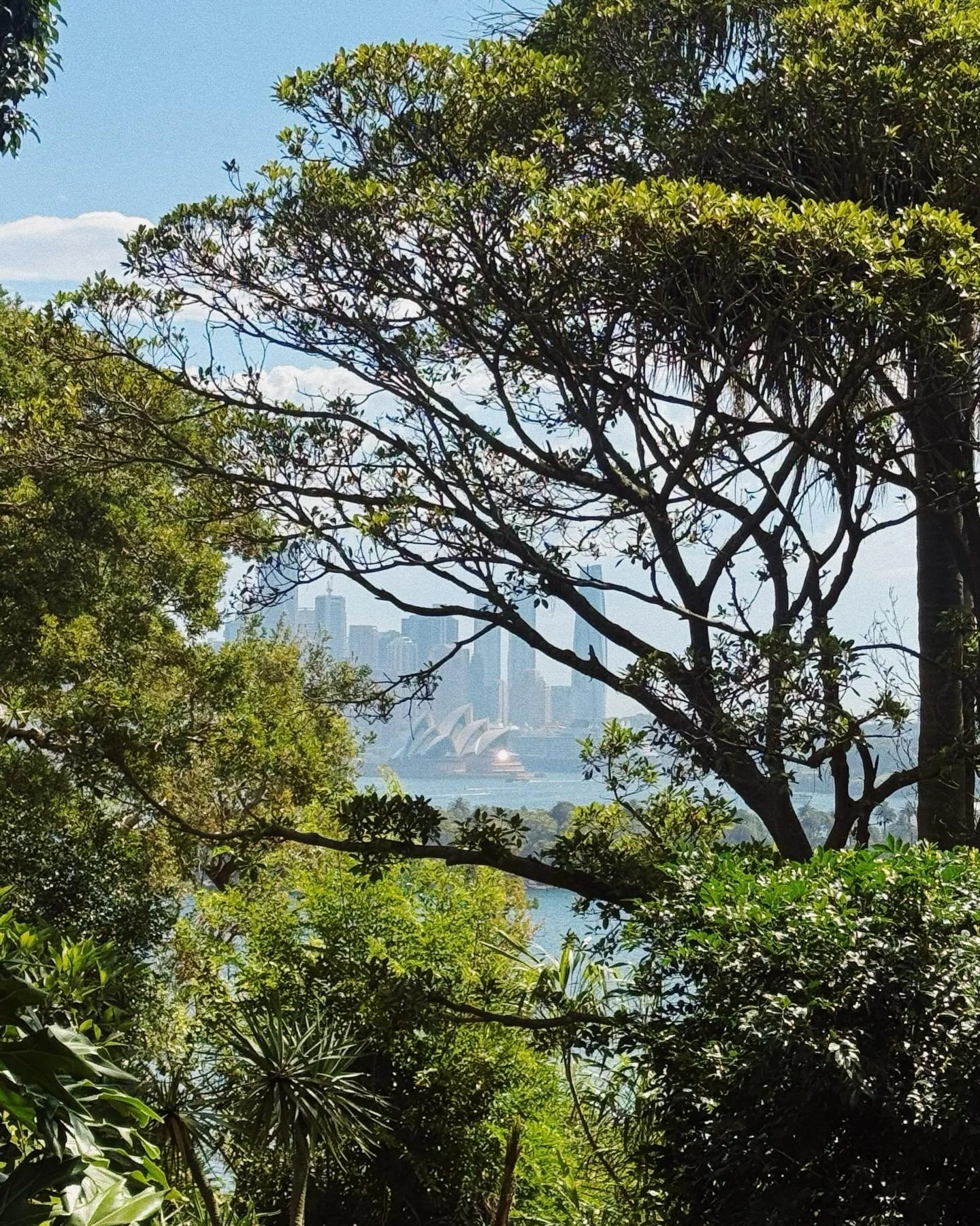 Australia - pt. 2 &hearts;️🐳🌞🍃

#australia #sydney #australiana