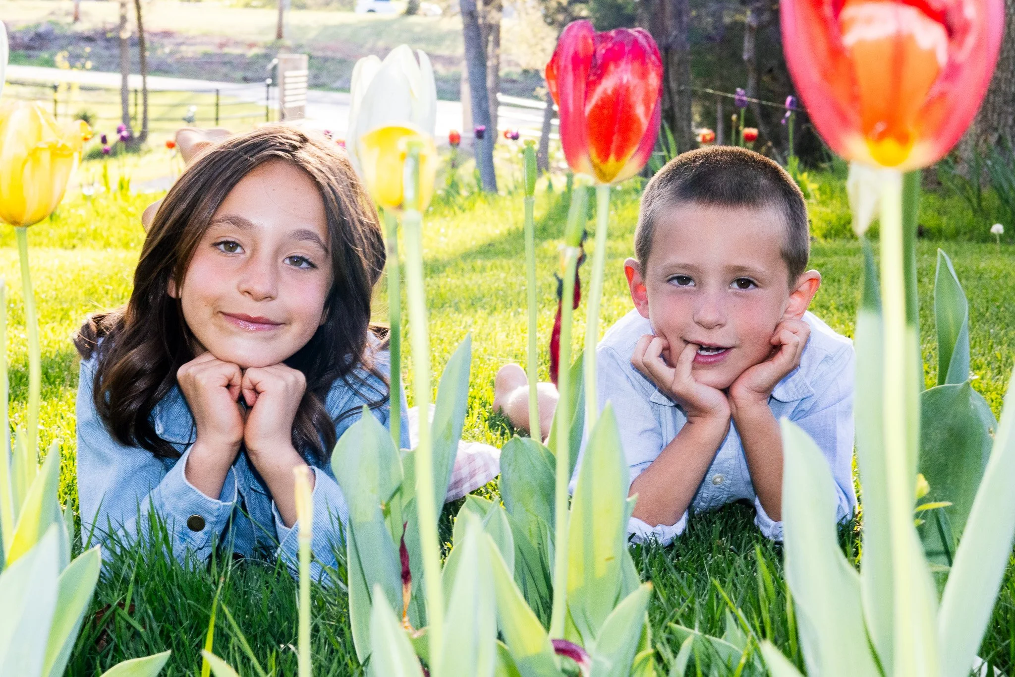 Spring Tulip Session