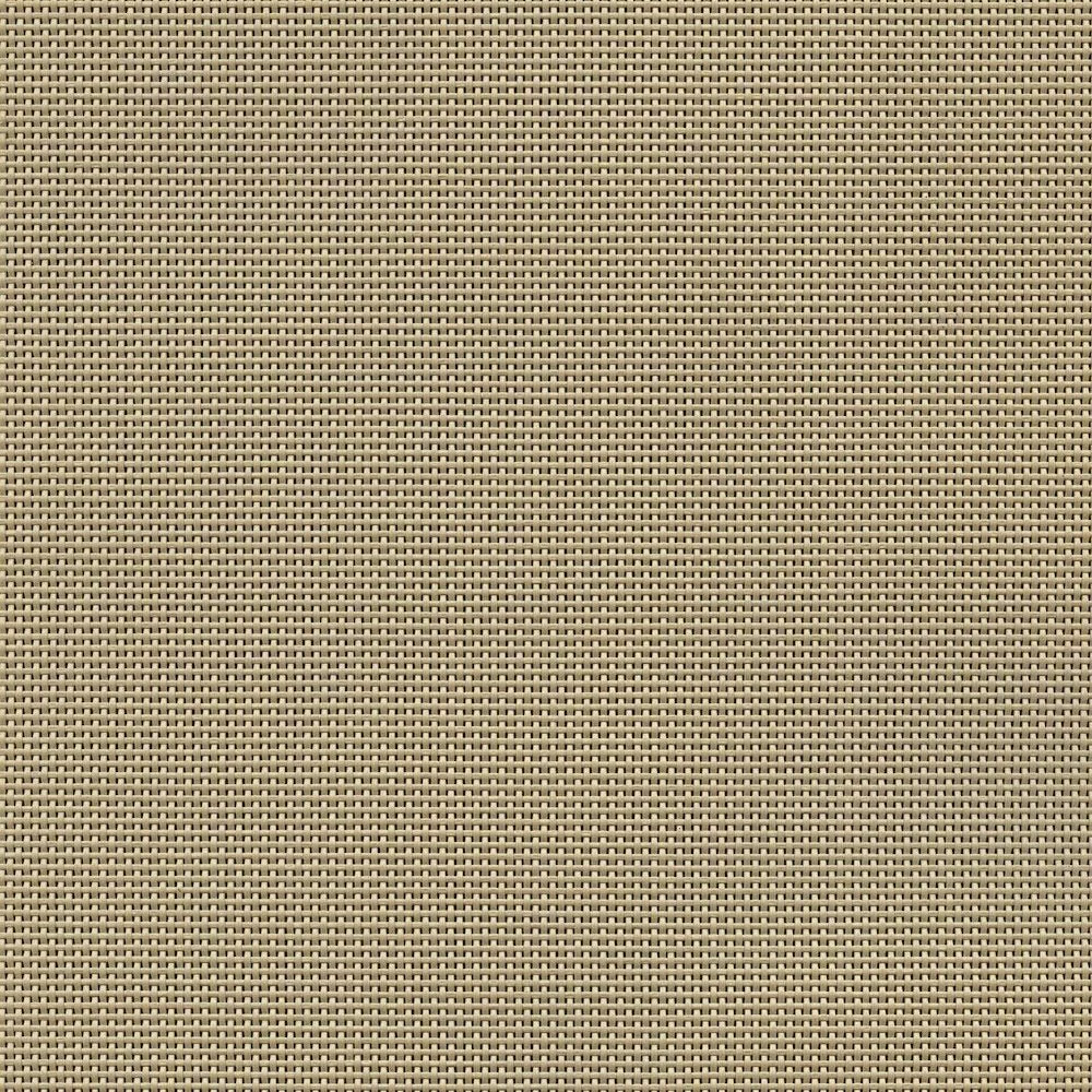 81izX-Yo4xL._AC_SL1000_.jpg