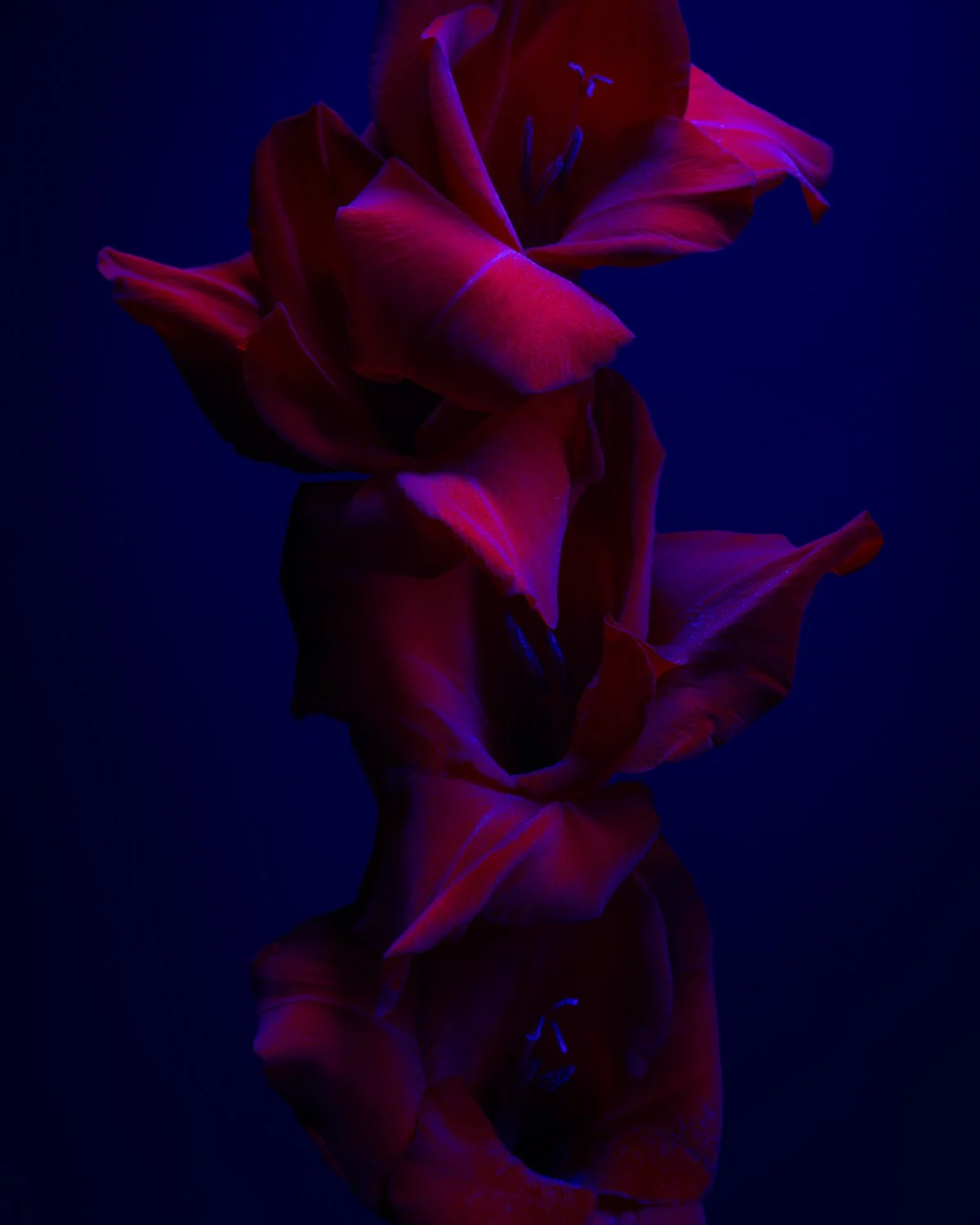 210916_8511_12x15px.jpg