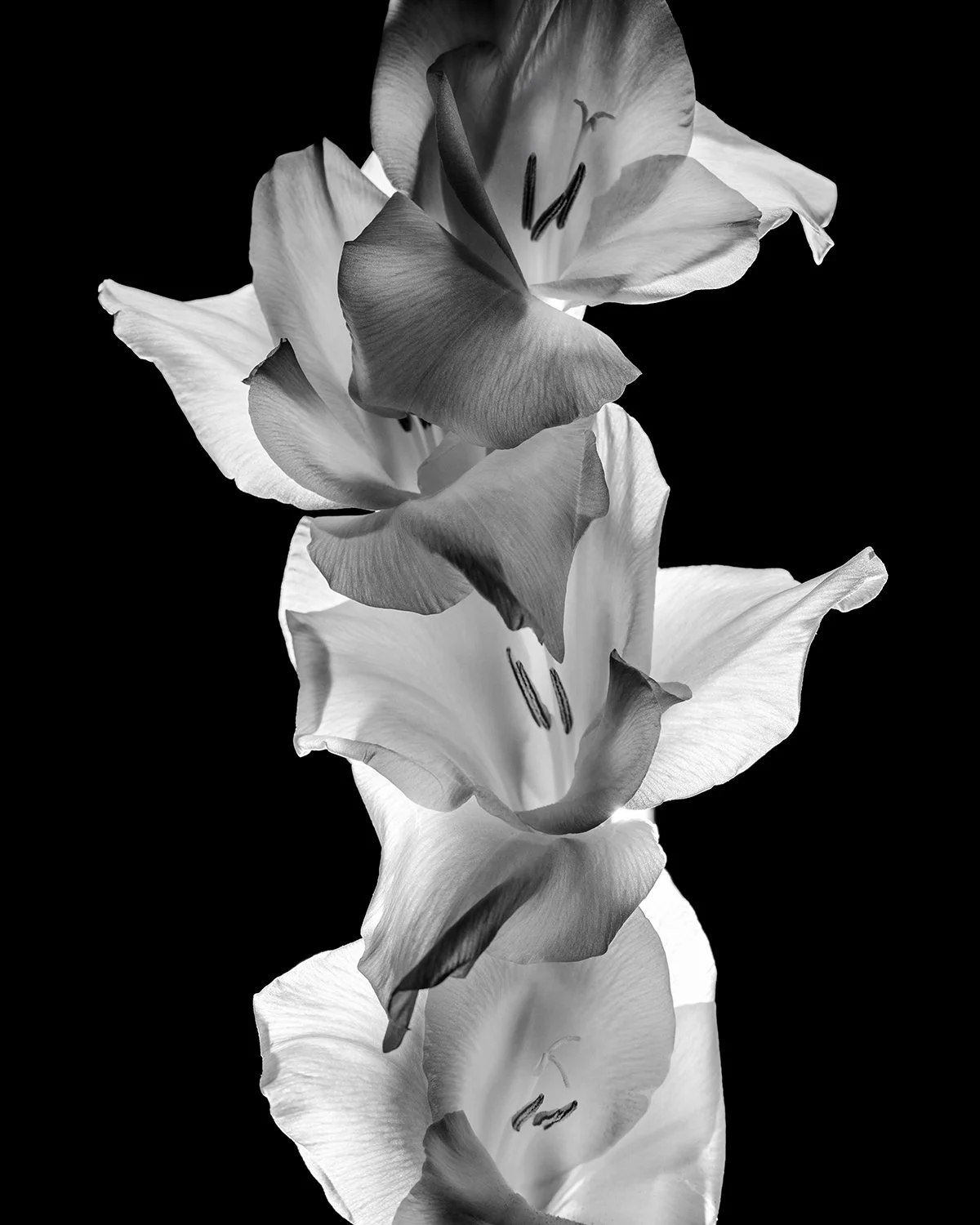 210916_8491_12x15px.jpg