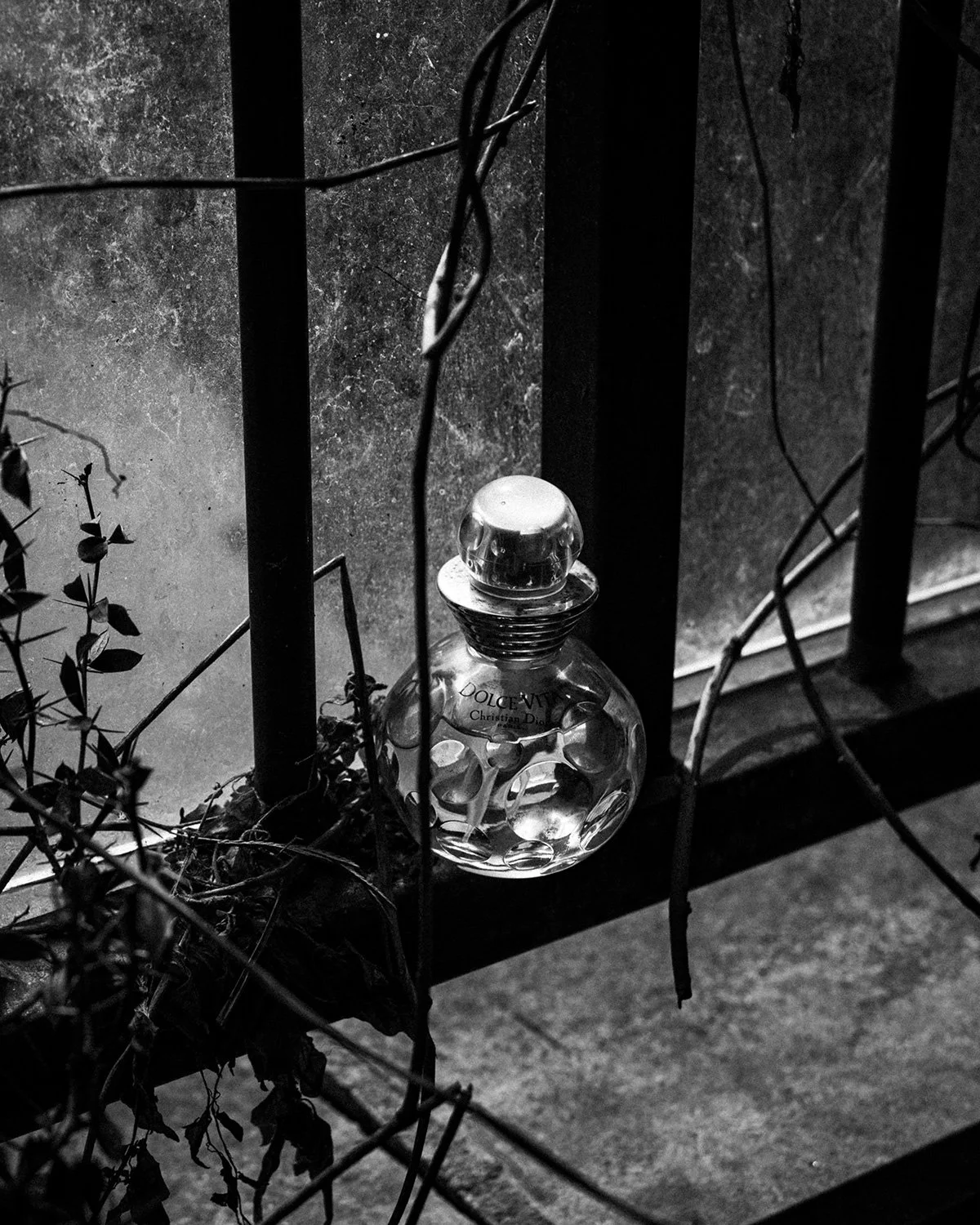 240423_0085.jpg