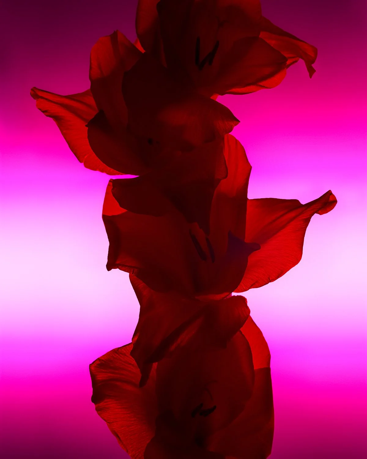 210916_8522_12x15px.jpg