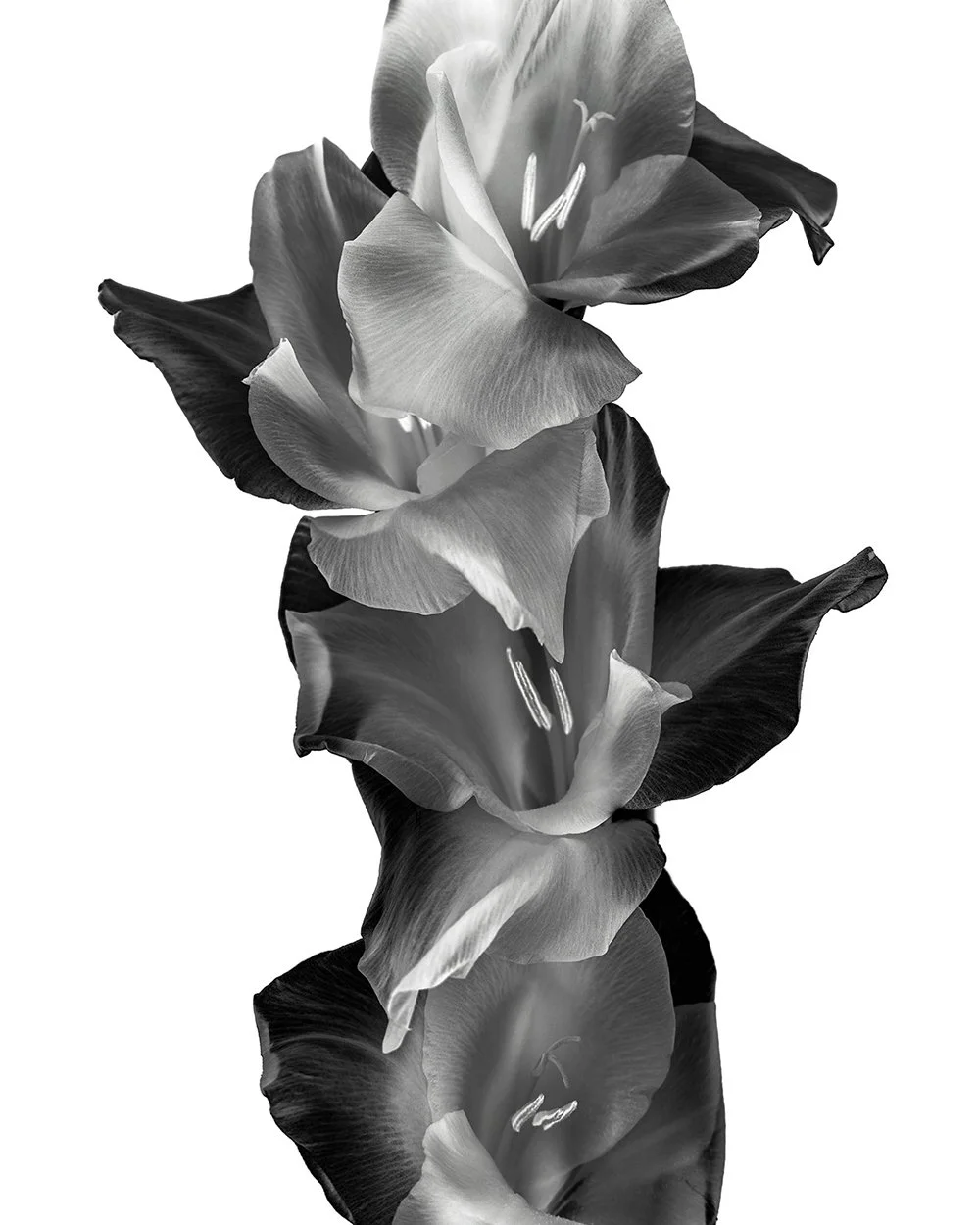 210916_8491_inv_Web.jpg