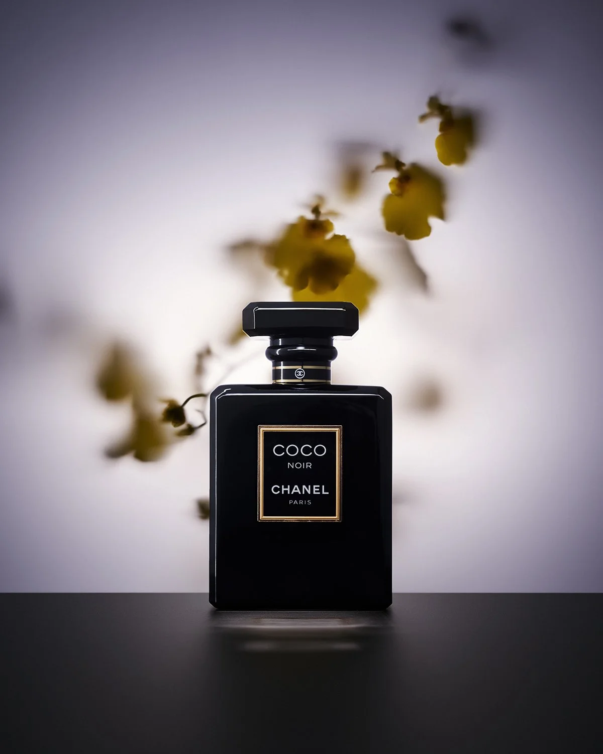 CHANEL_CocoNoir_12x15px.jpg