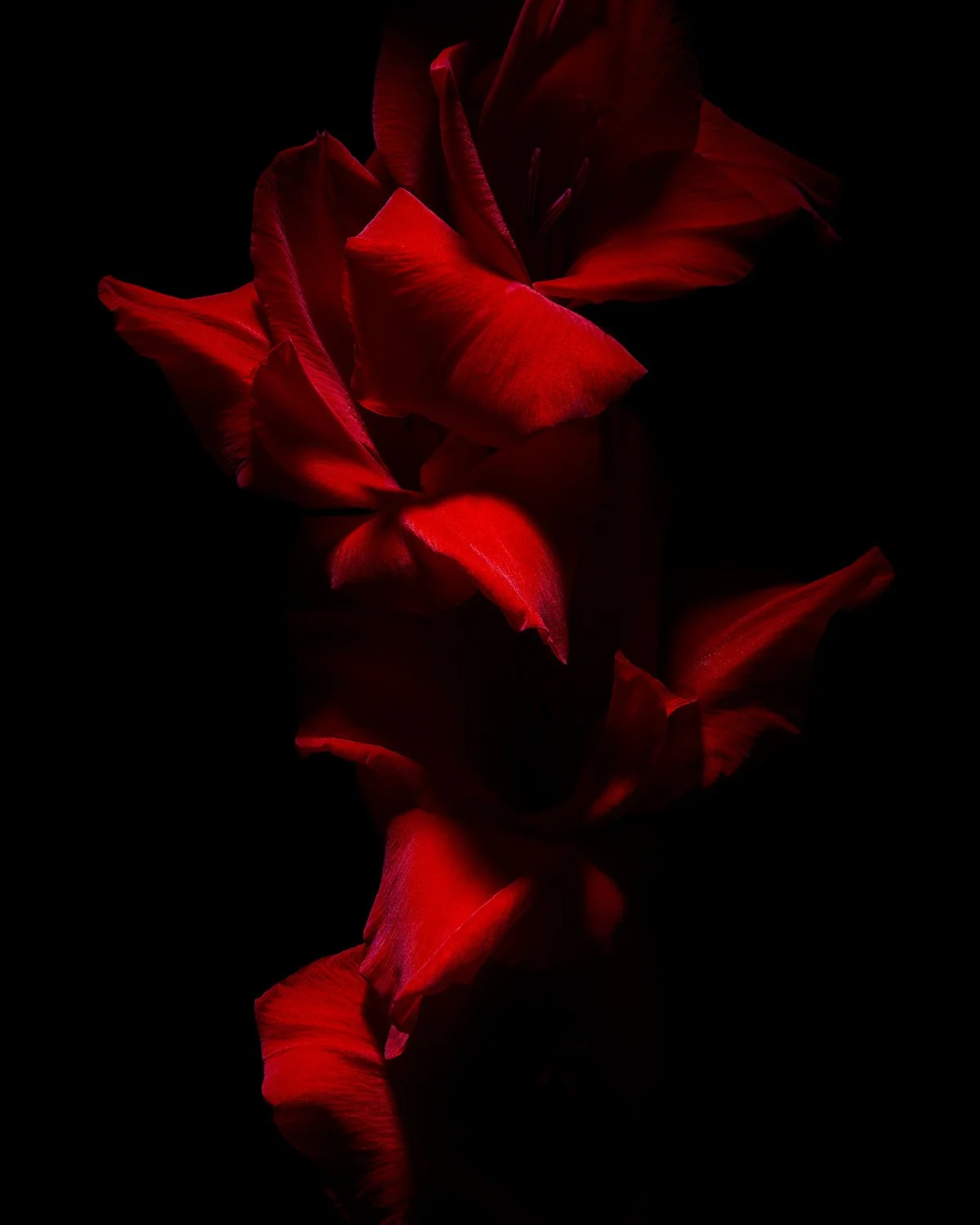 210916_8470_12x15.jpg