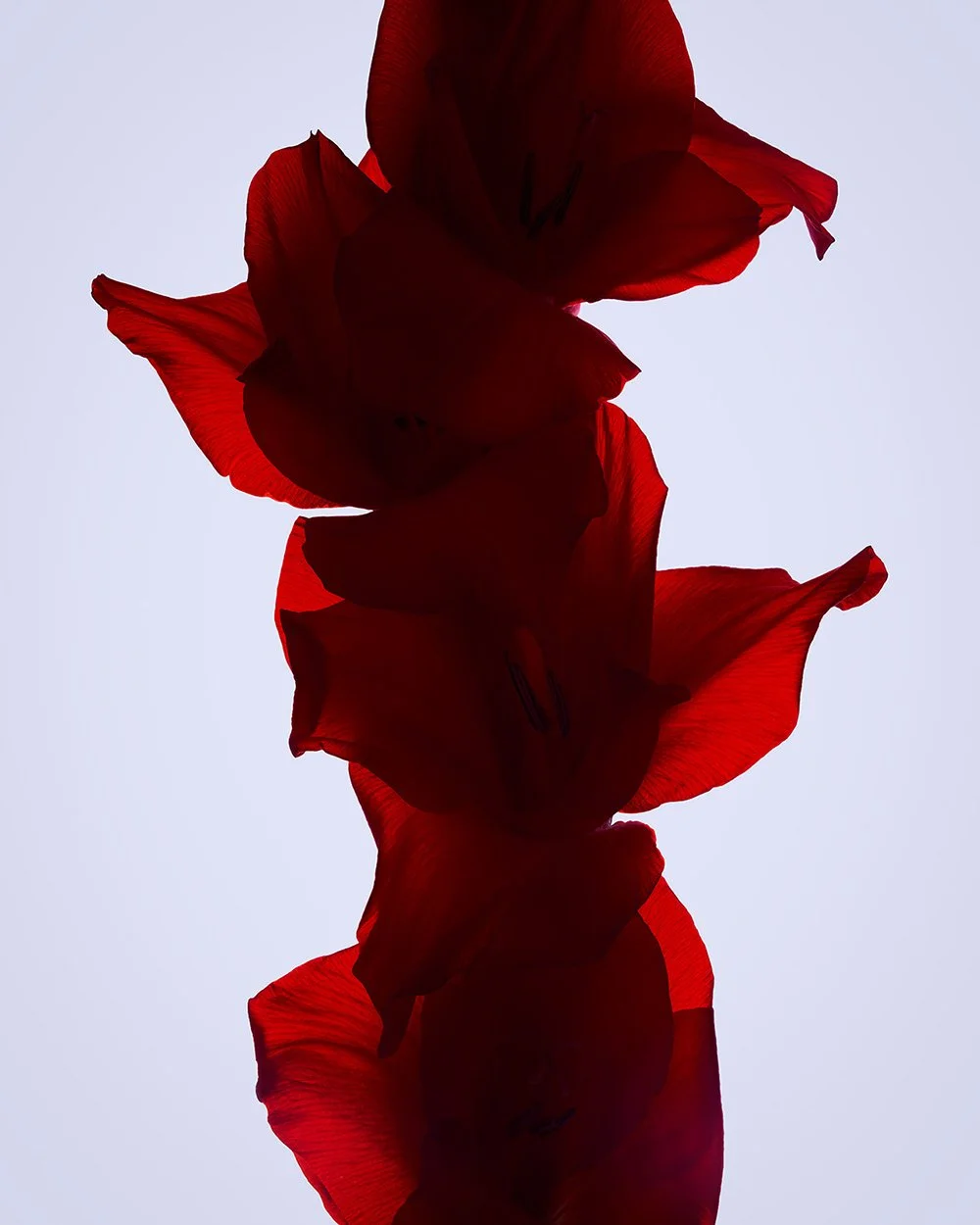210916_8437_web.jpg