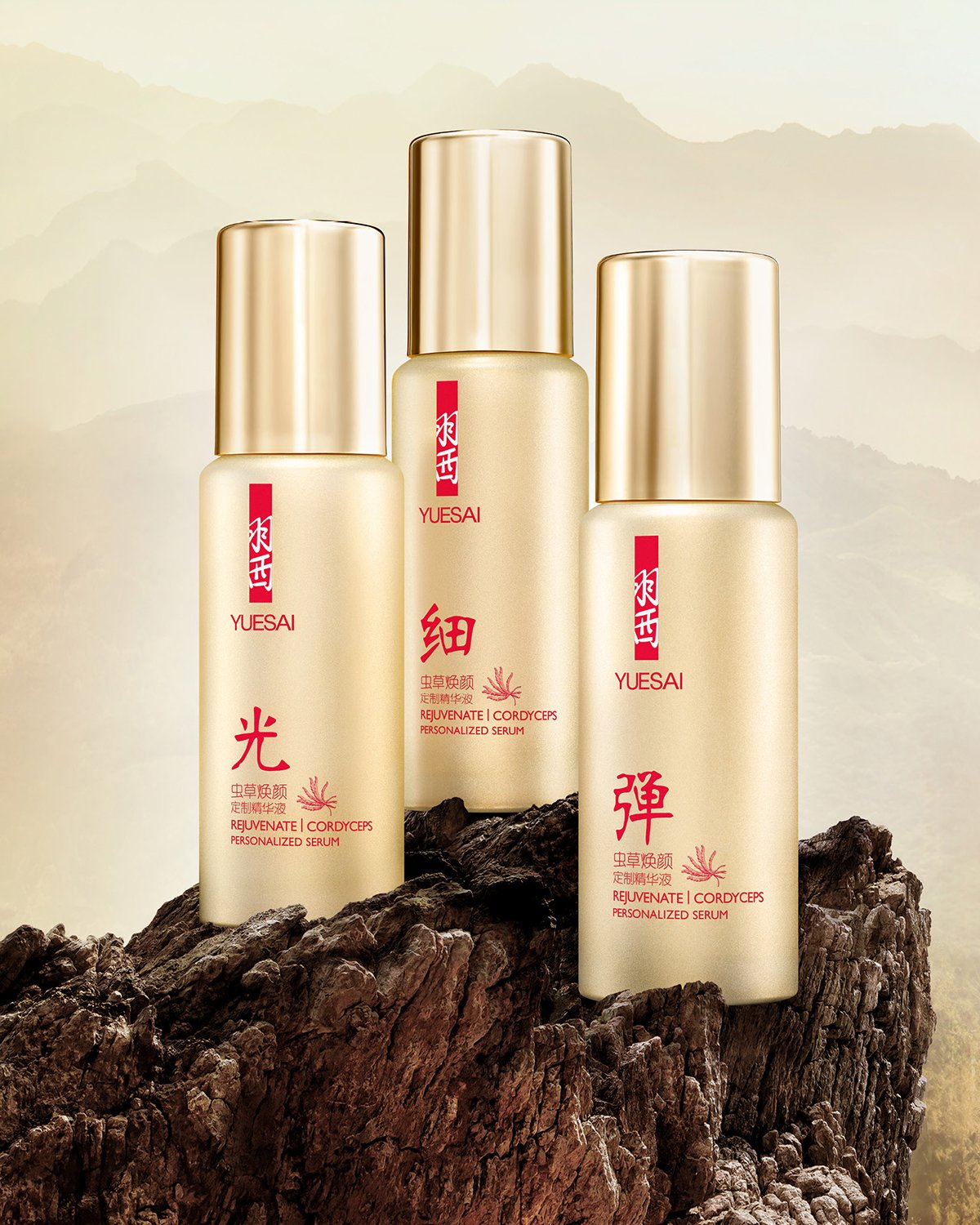 YueSai_SP_6_12x15px.jpg