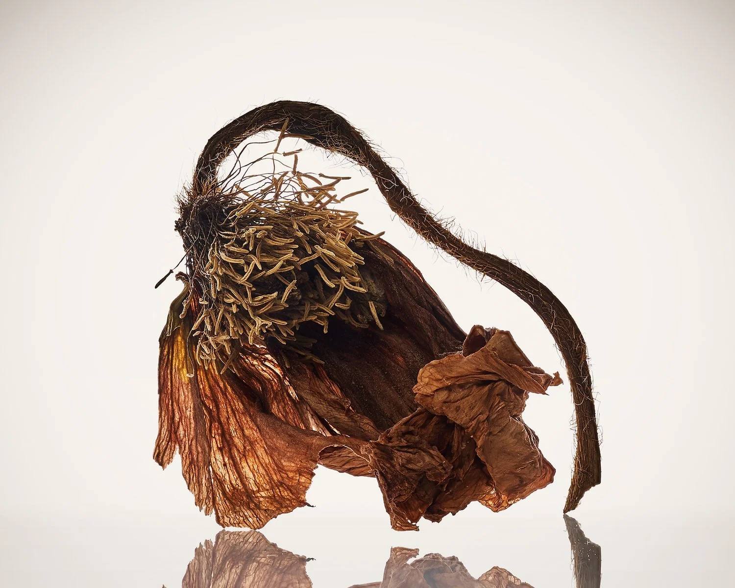 20220120_6018_Web.jpg