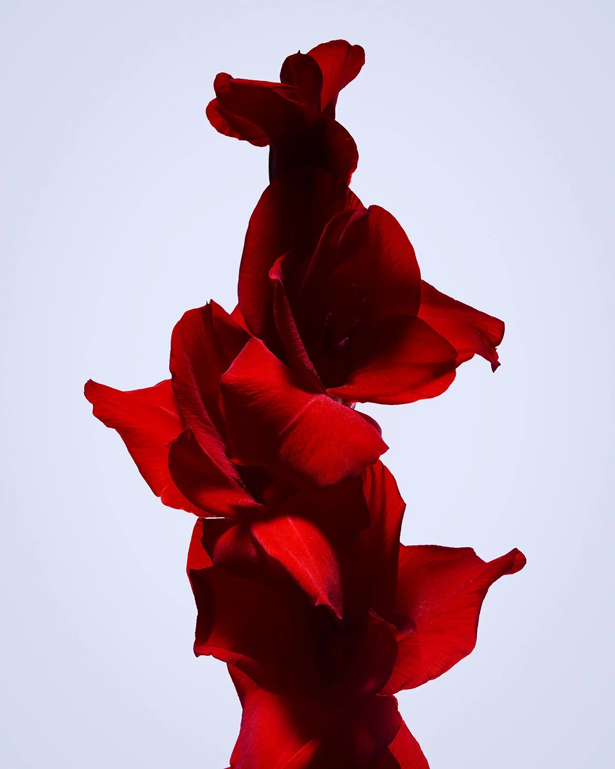 210916_8420_12x15px.jpg