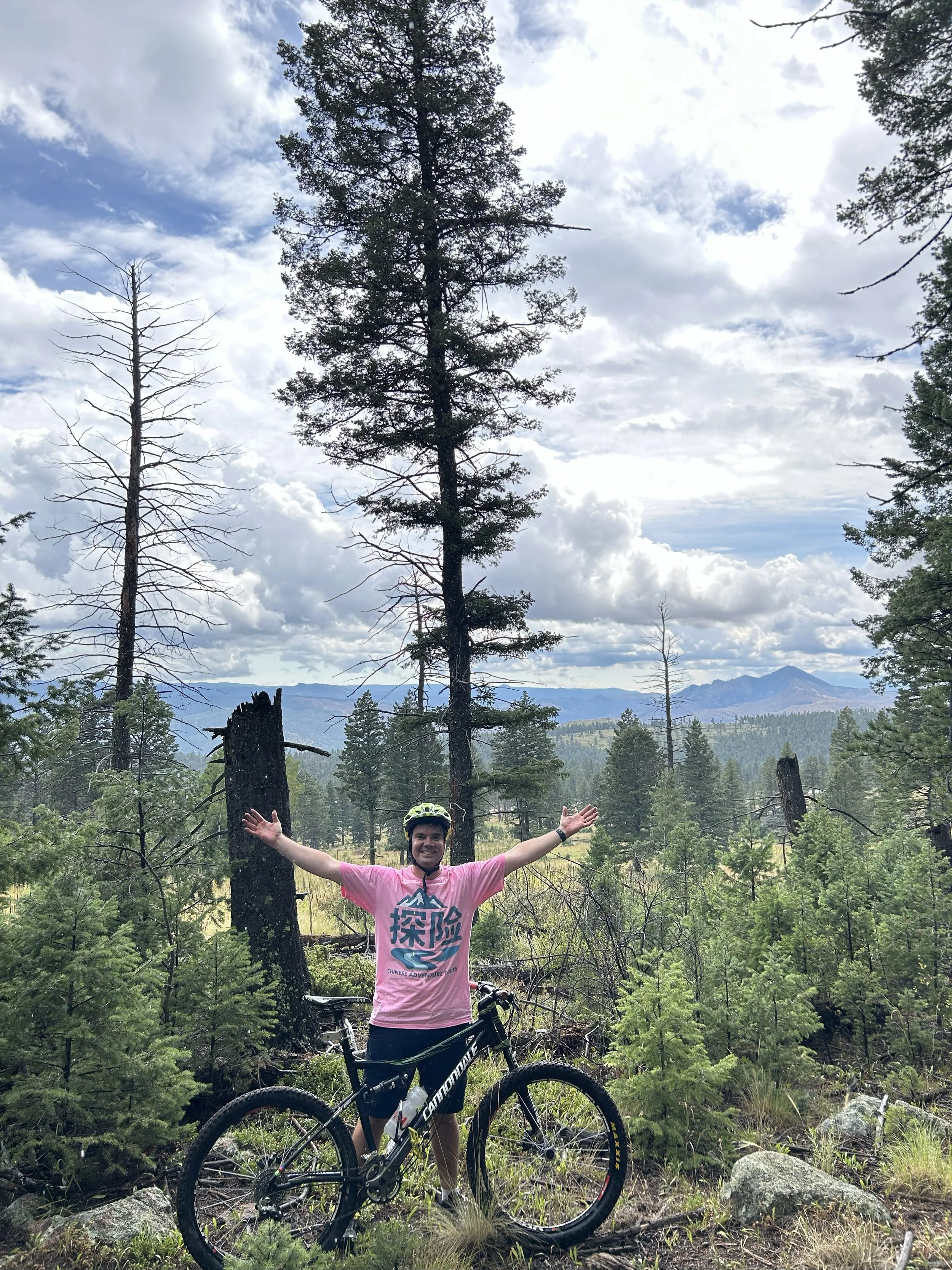 Mtn bike forest lil craggy 2.jpg