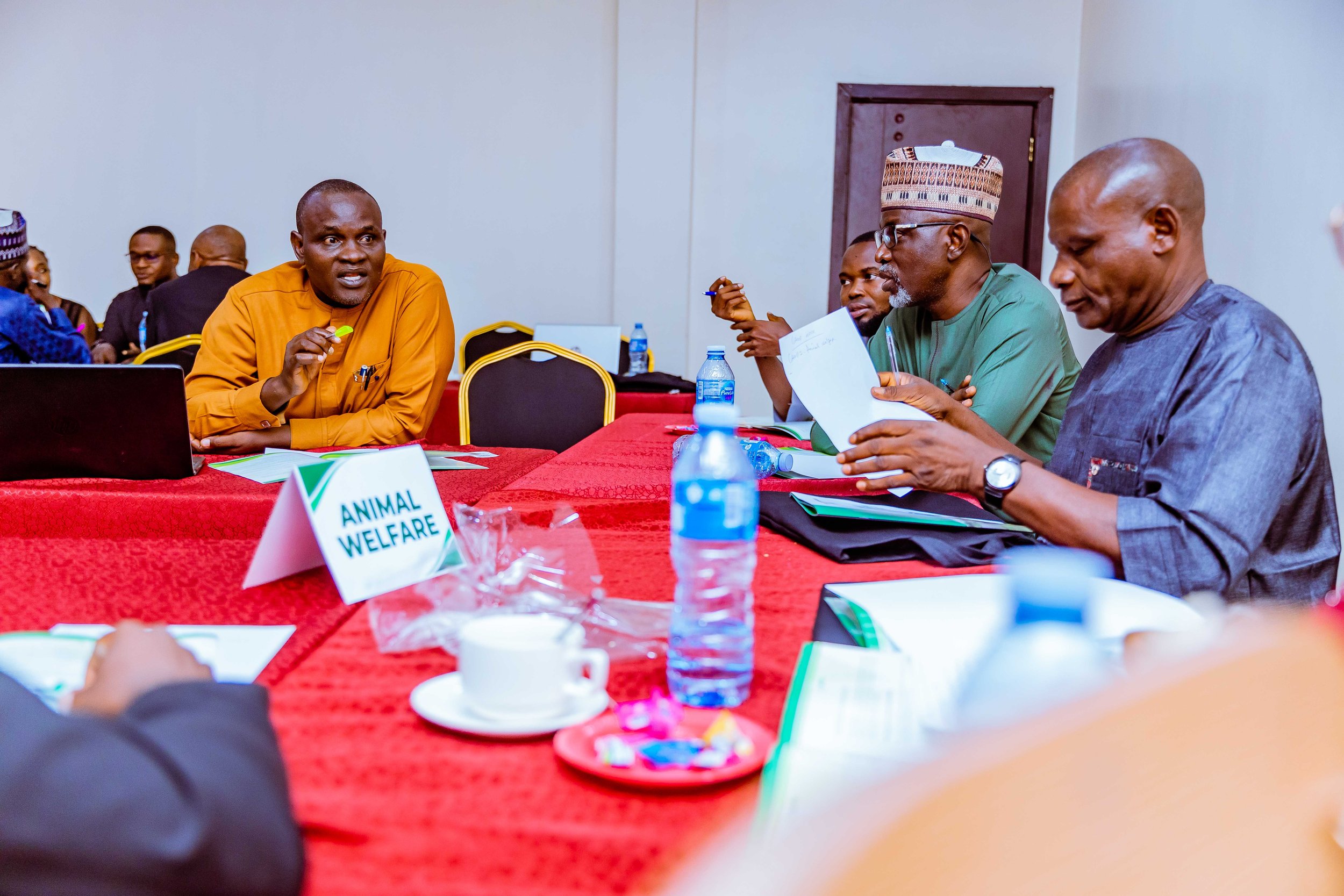 animal welfare thematic group at Sanuvia workshop.jpg